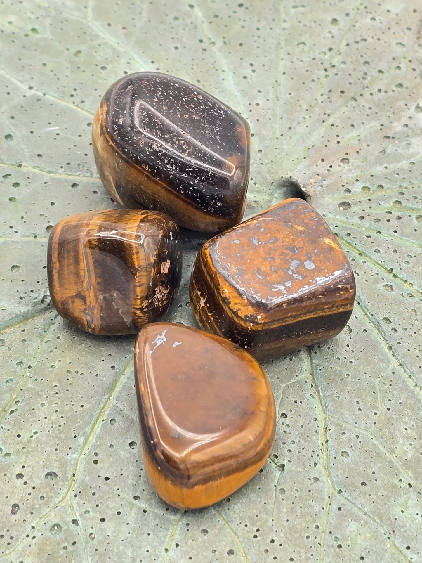 Tiger Eye Tumbles