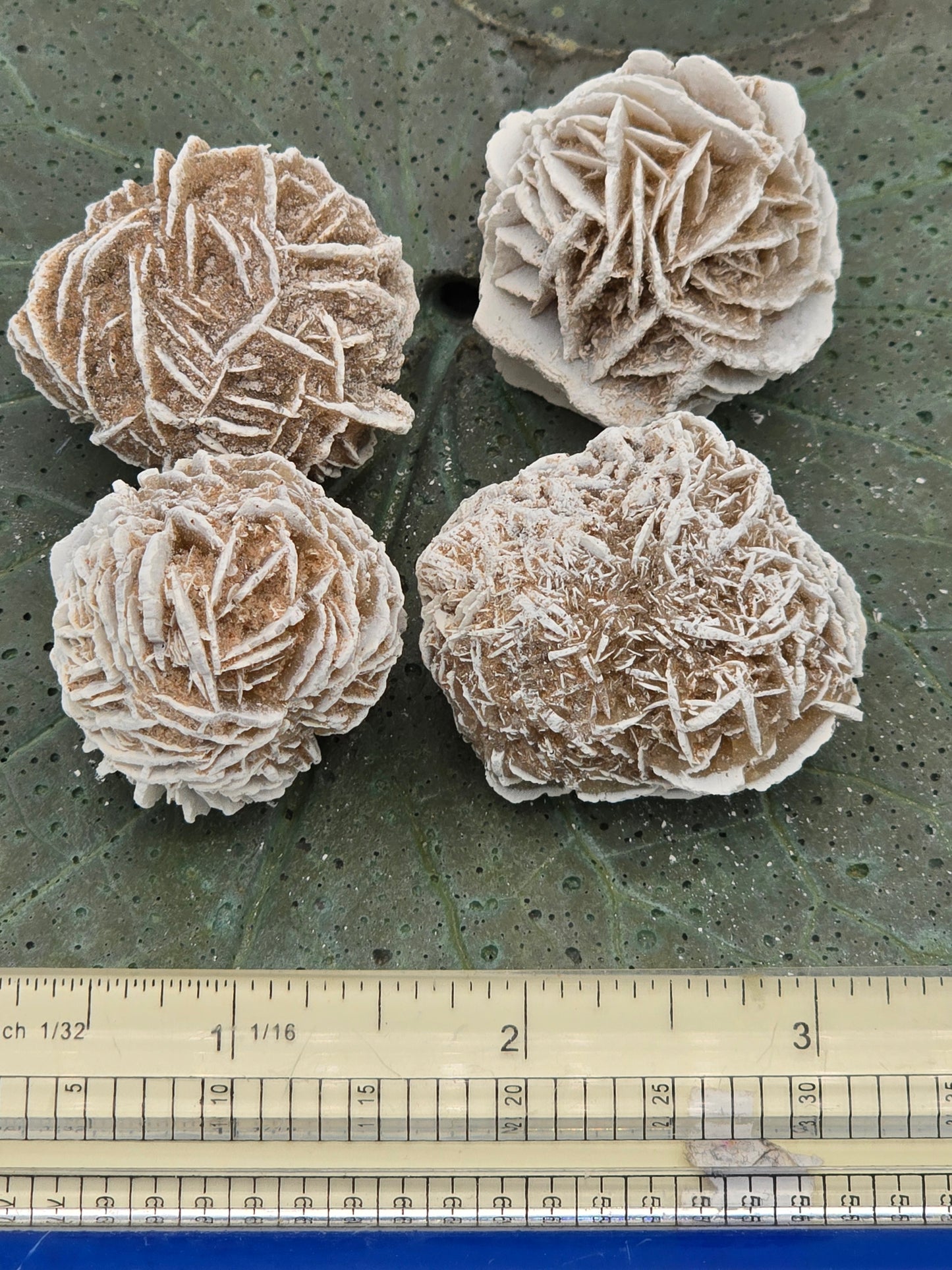 Desert Rose ( Selenite)