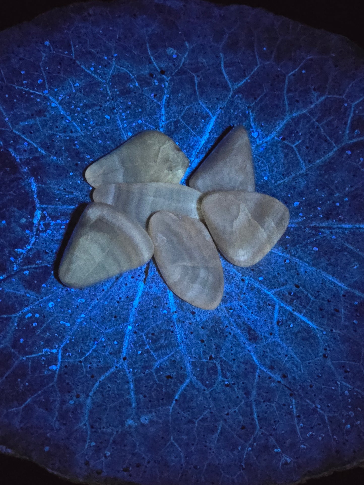Honey Fluorite Tumbles