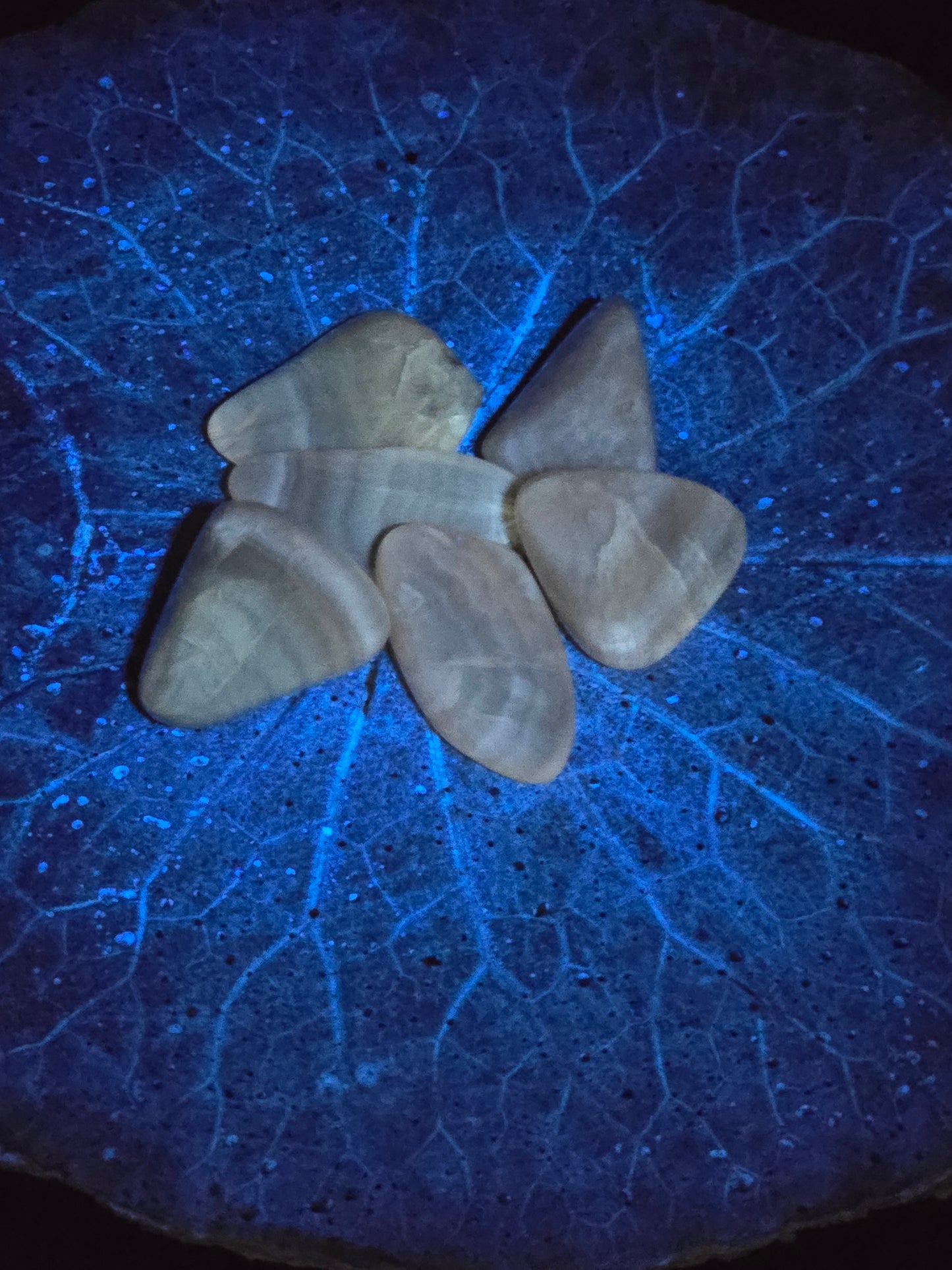 Honey Fluorite Tumbles