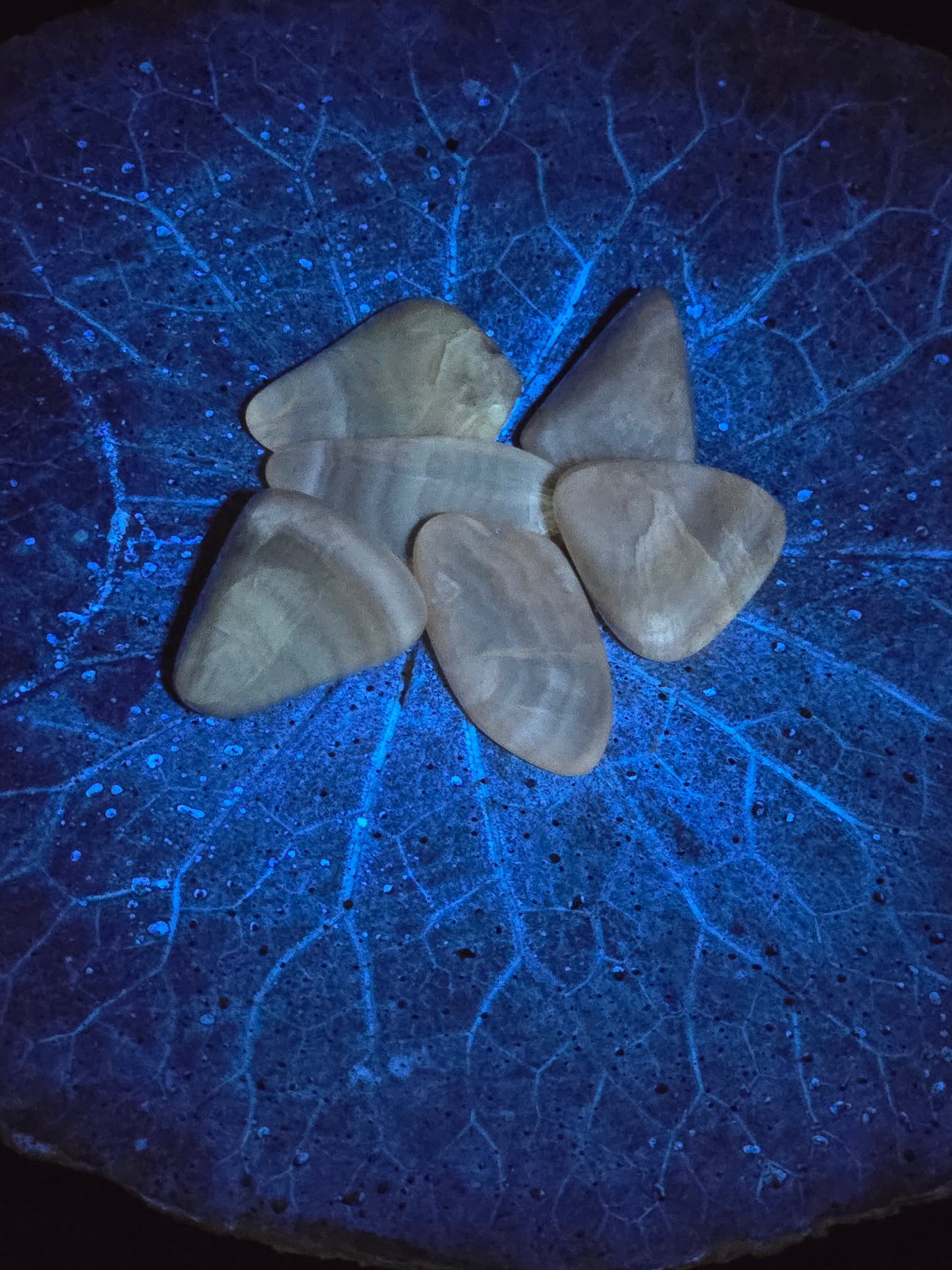 Honey Fluorite Tumbles