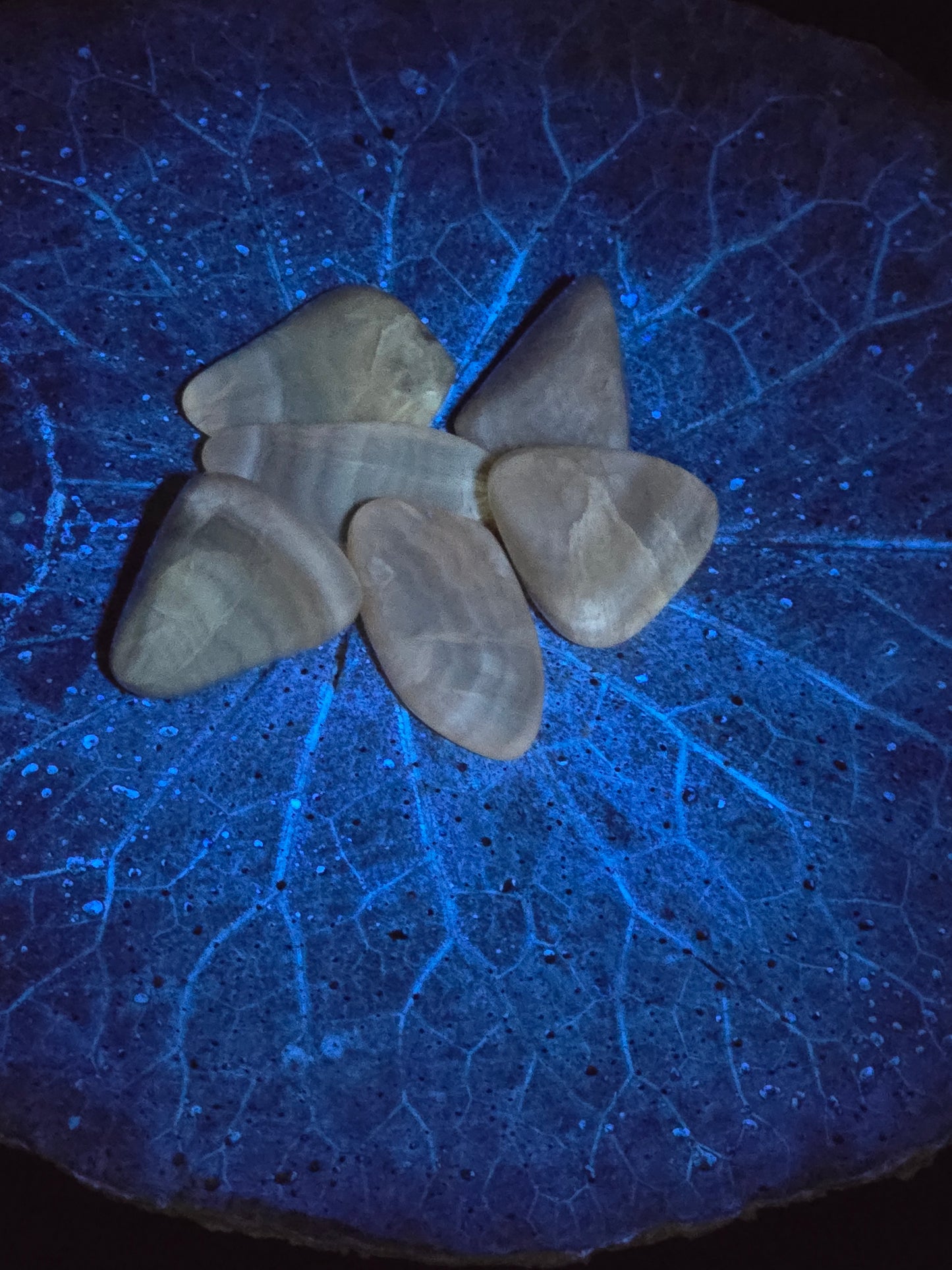 Honey Fluorite Tumbles
