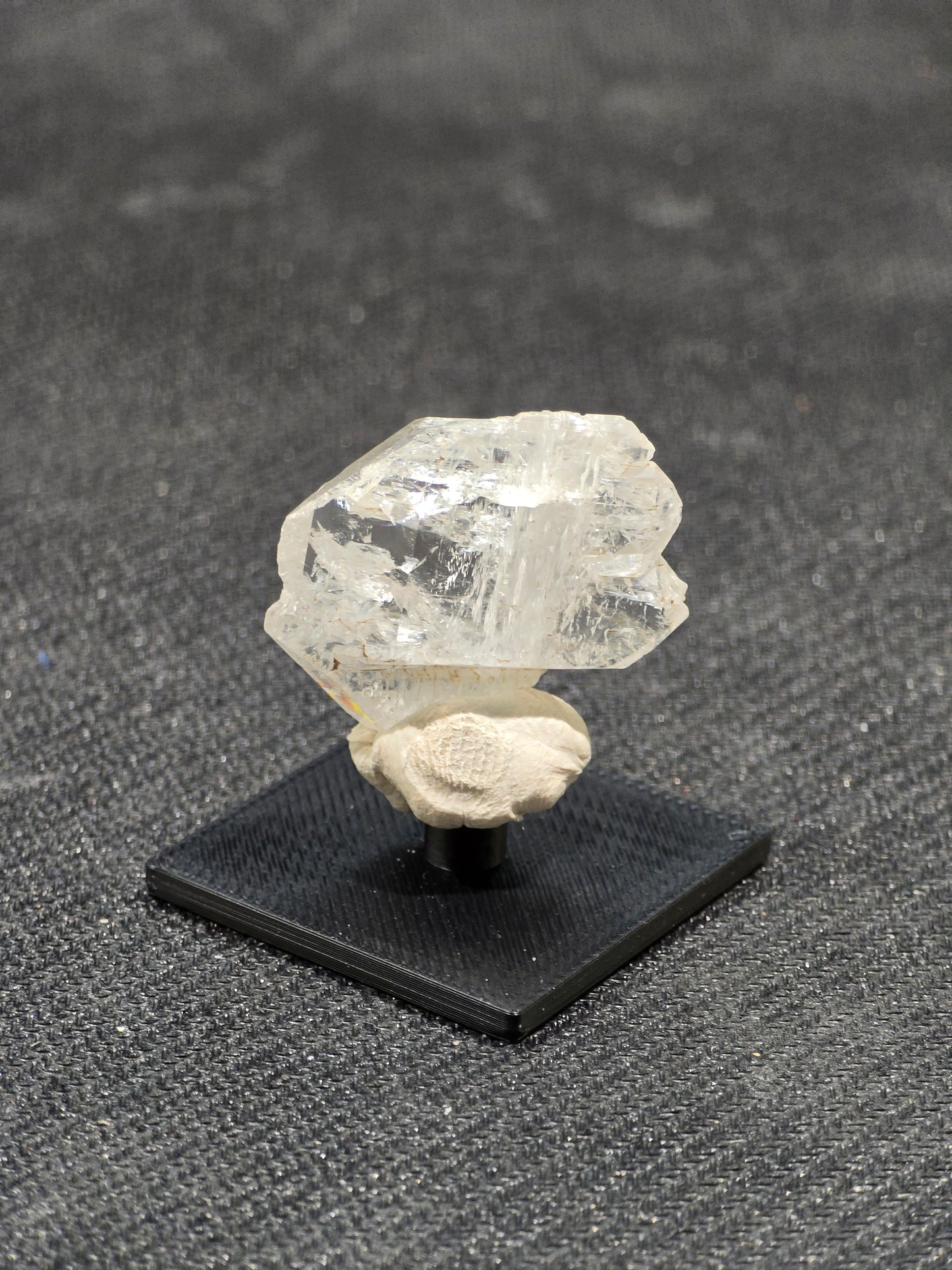 Faden Quartz in Perky box