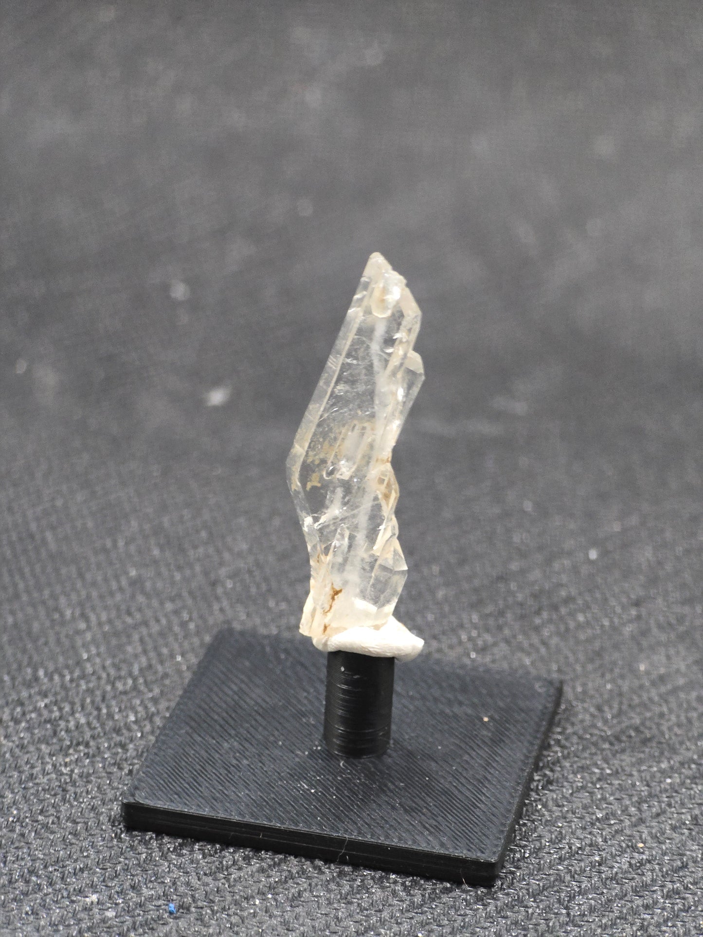 Faden Quartz in Perky box