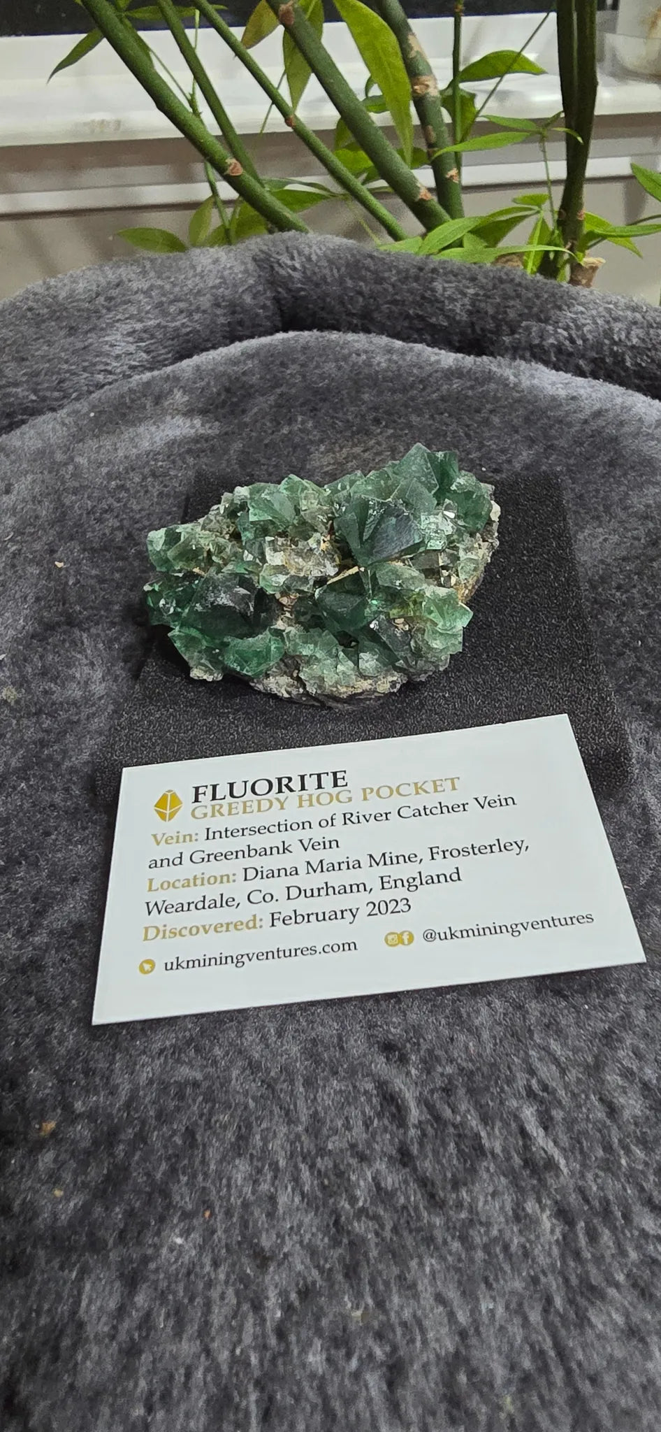 Fluorite specimen