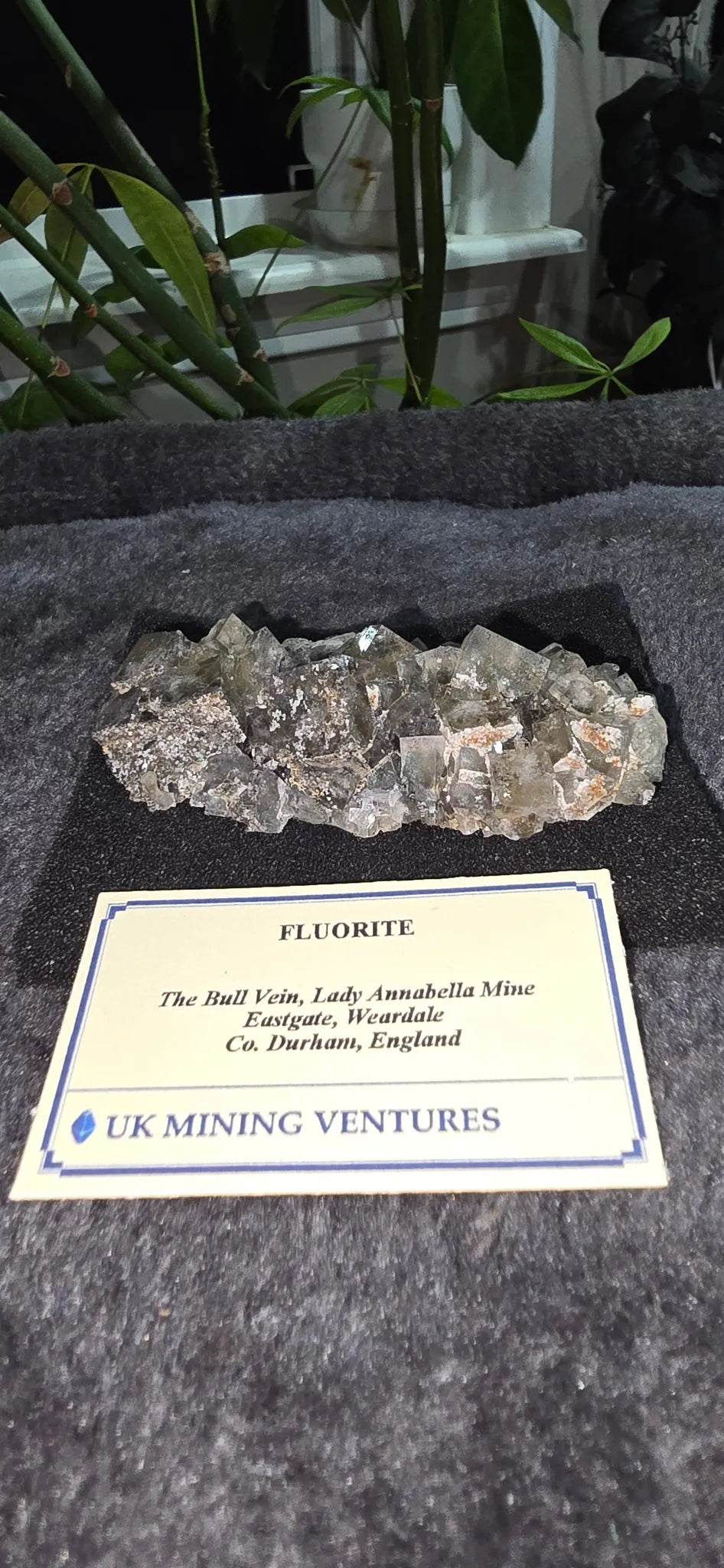 Fluorite specimen