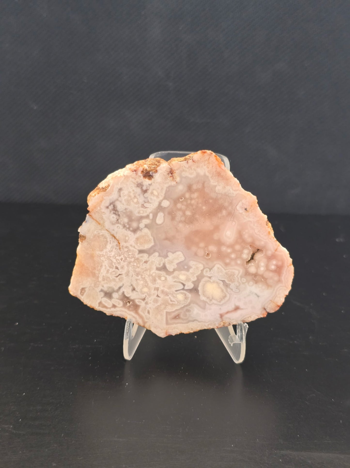Flower Agate Slices w Stands
