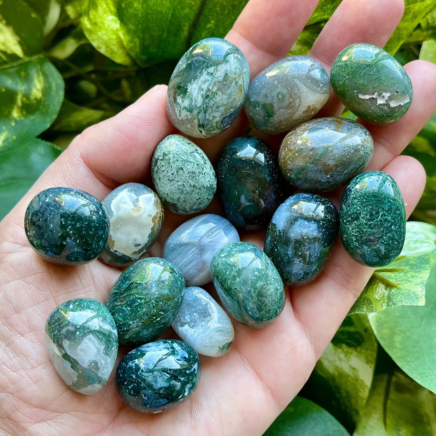 Moss Agate Tumble Stone – Natural Polished Stone