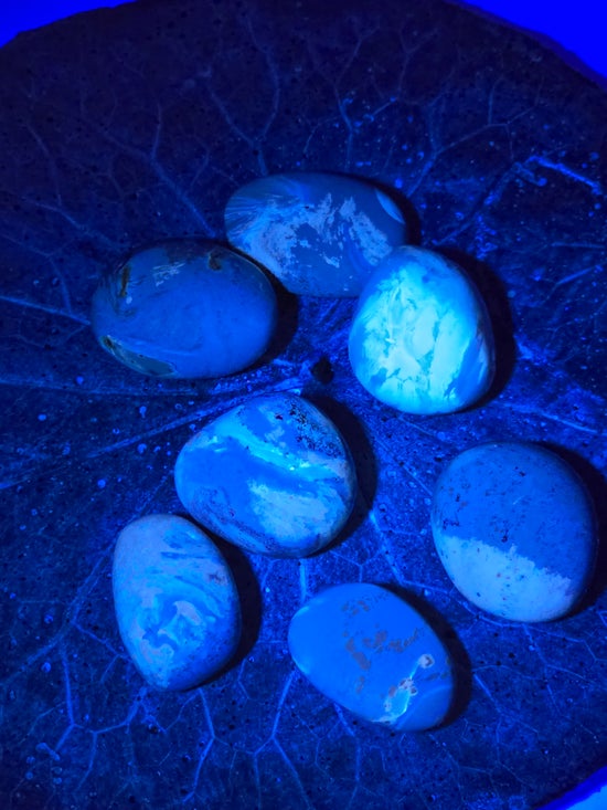 Indonesian Blue Amber Tumbles