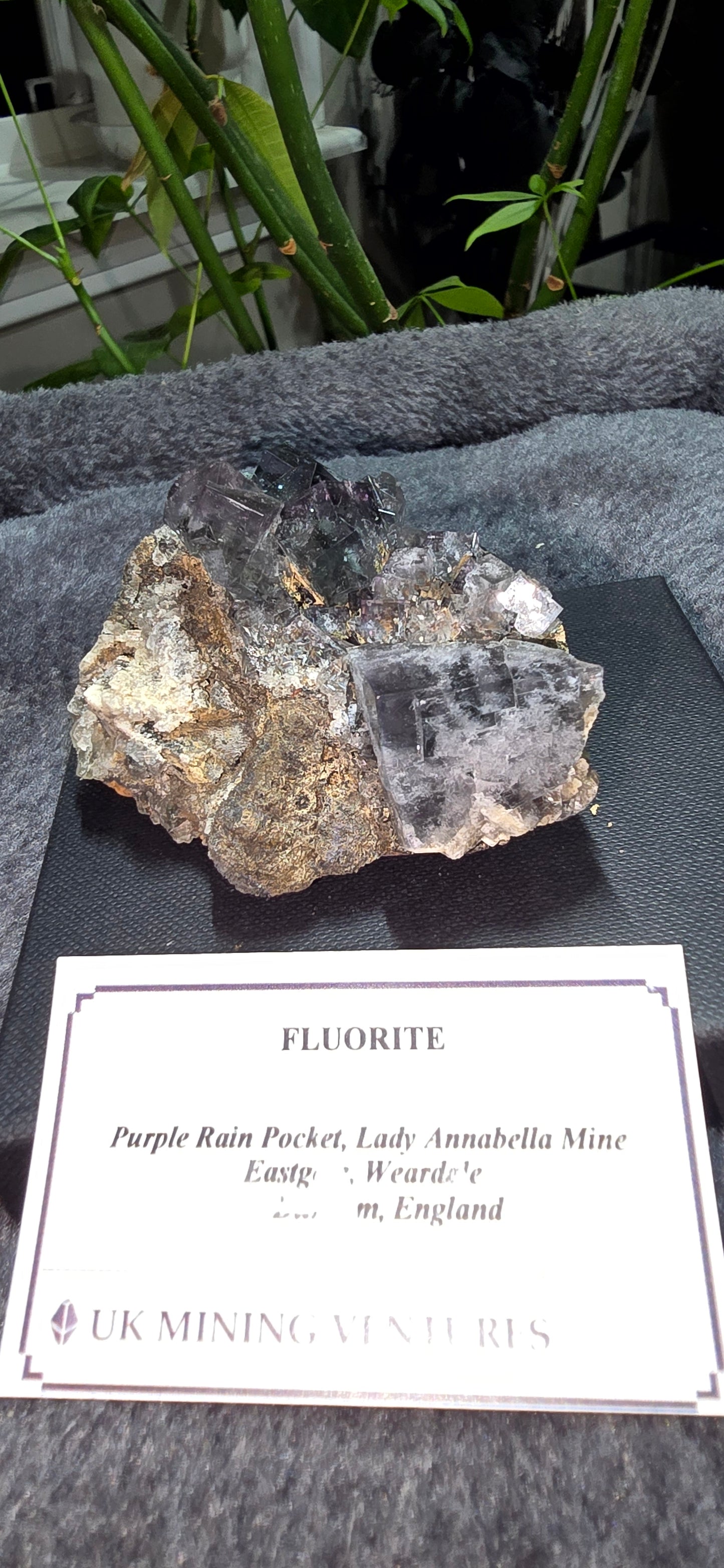 Purple Rain Pocket Fluorite