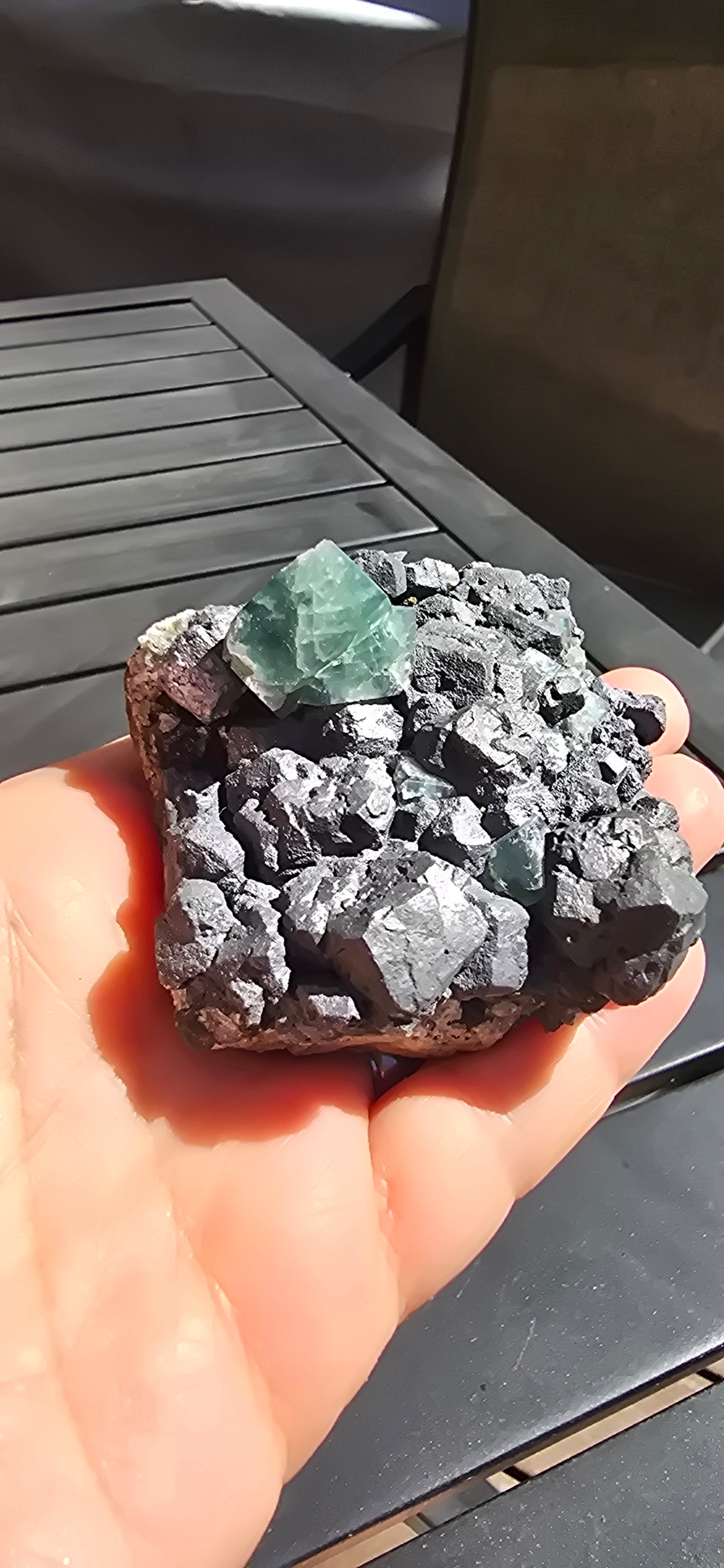 Greedy Hog Pocket Fluorite