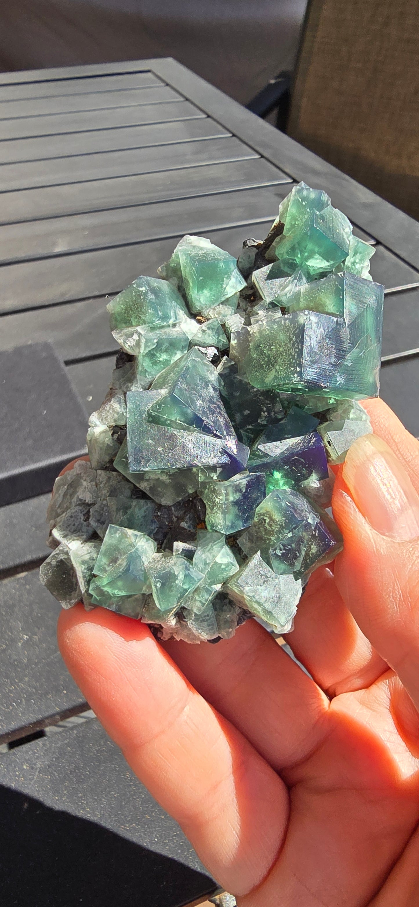 Greedy Hog Pocket Fluorite