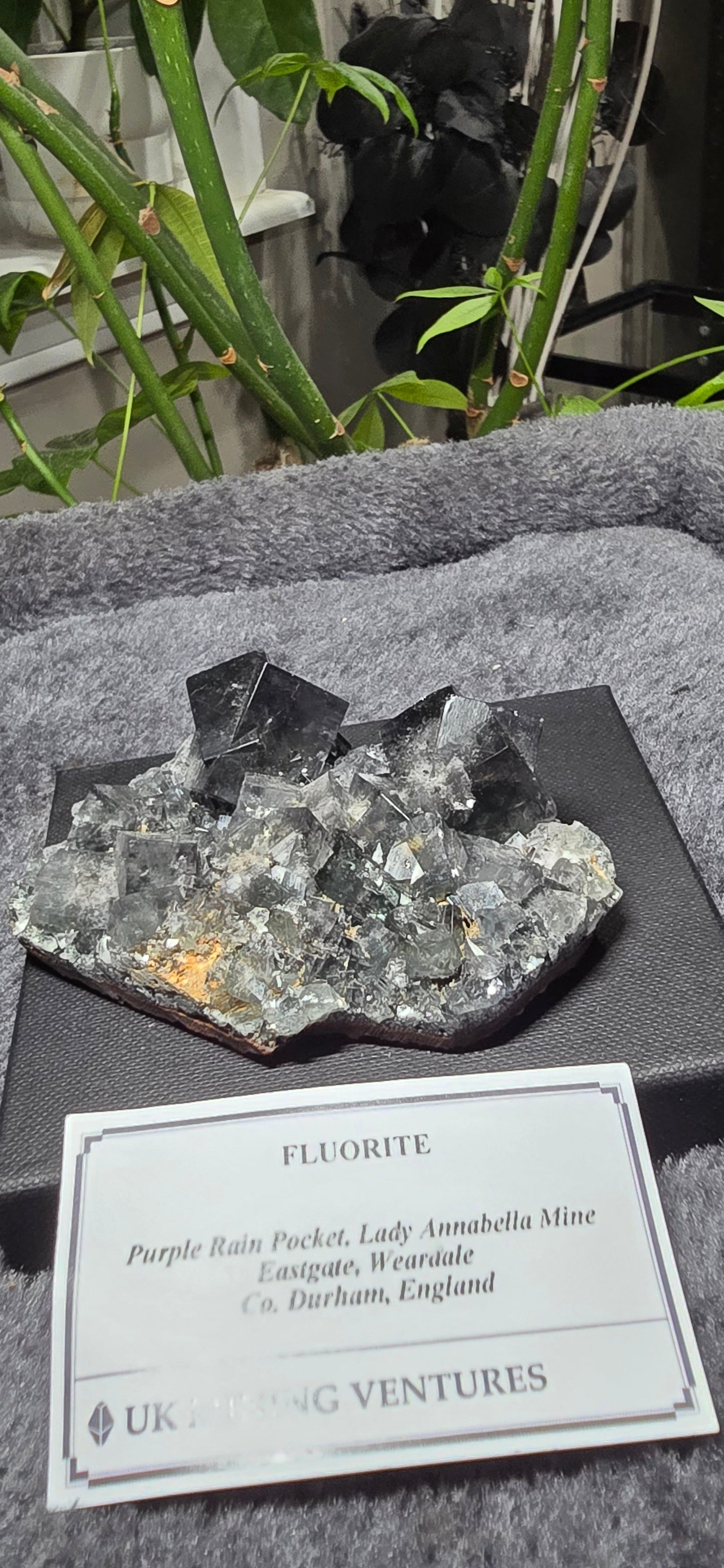 Purple Rain Pocket Fluorite