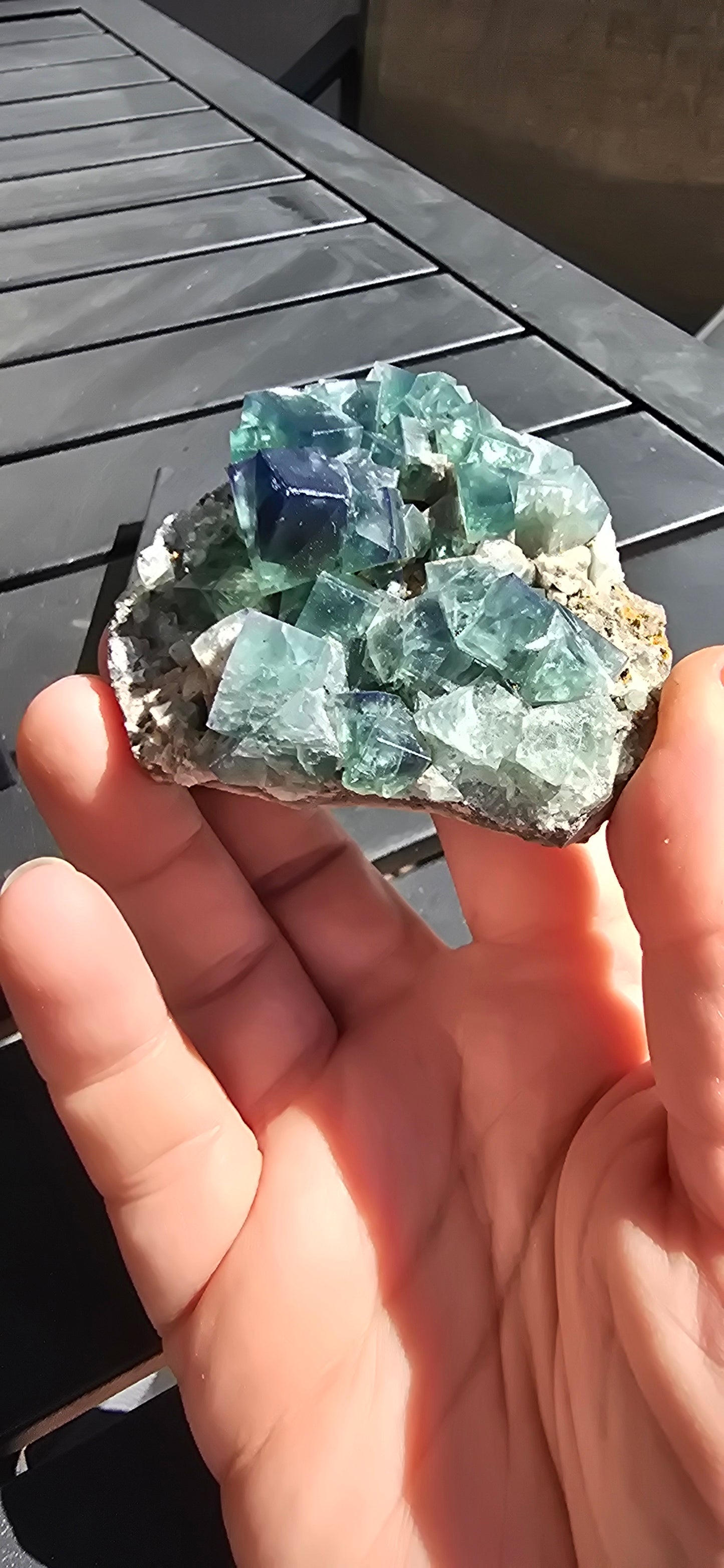 Greedy Hog Pocket Fluorite