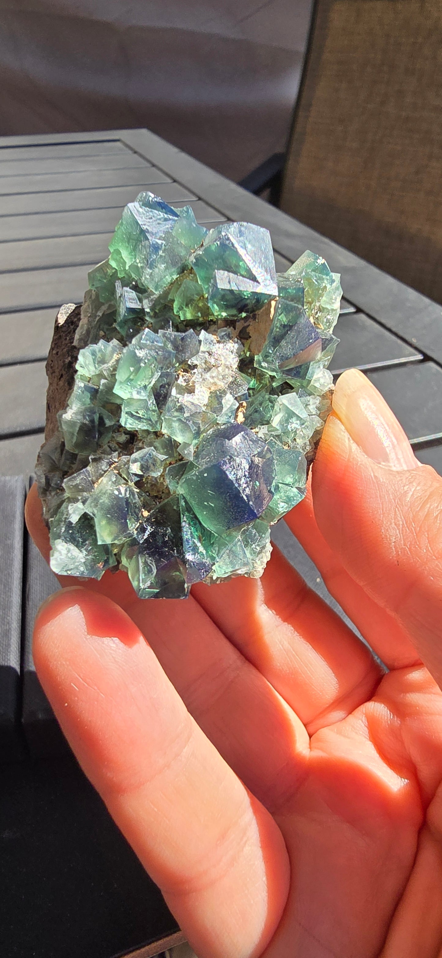 Greedy Hog Pocket Fluorite