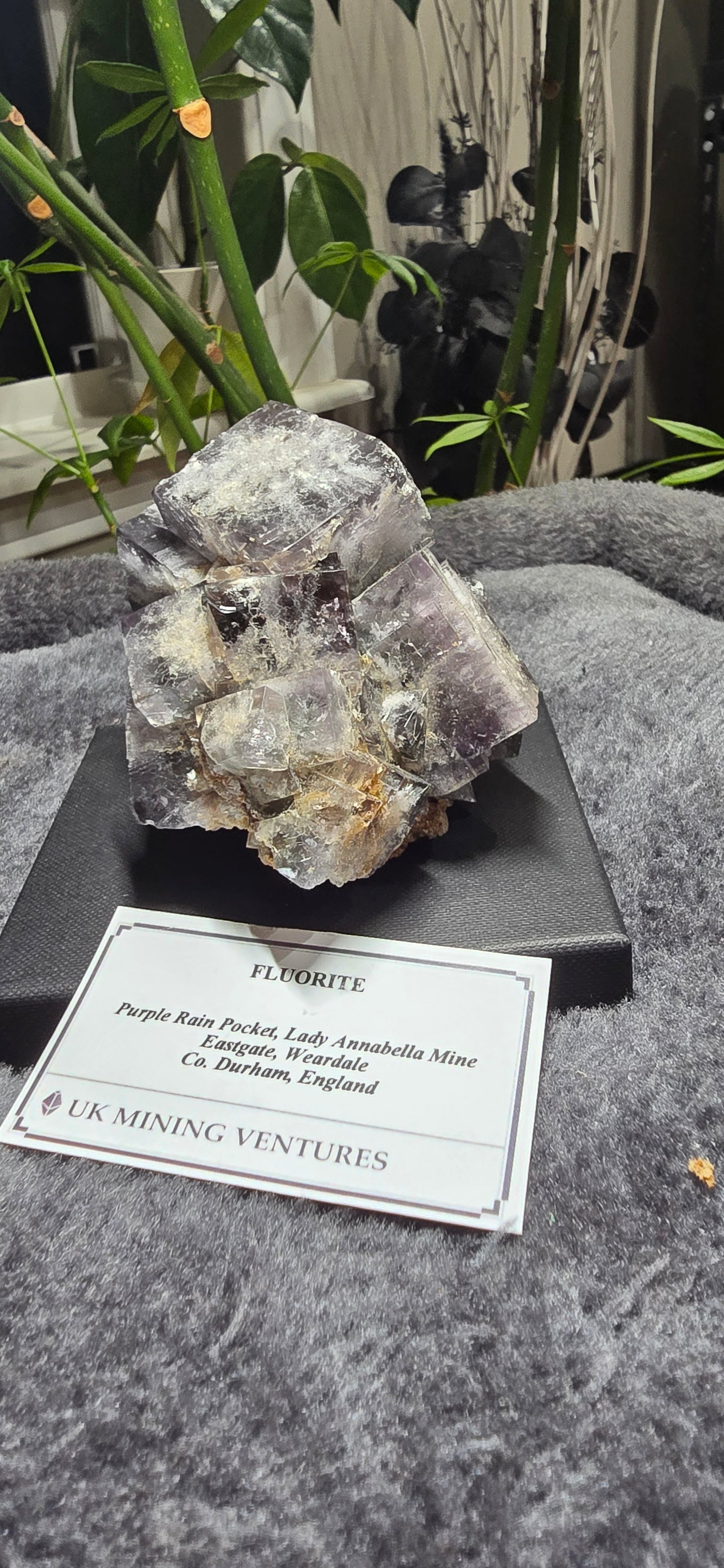 Purple Rain Pocket Fluorite