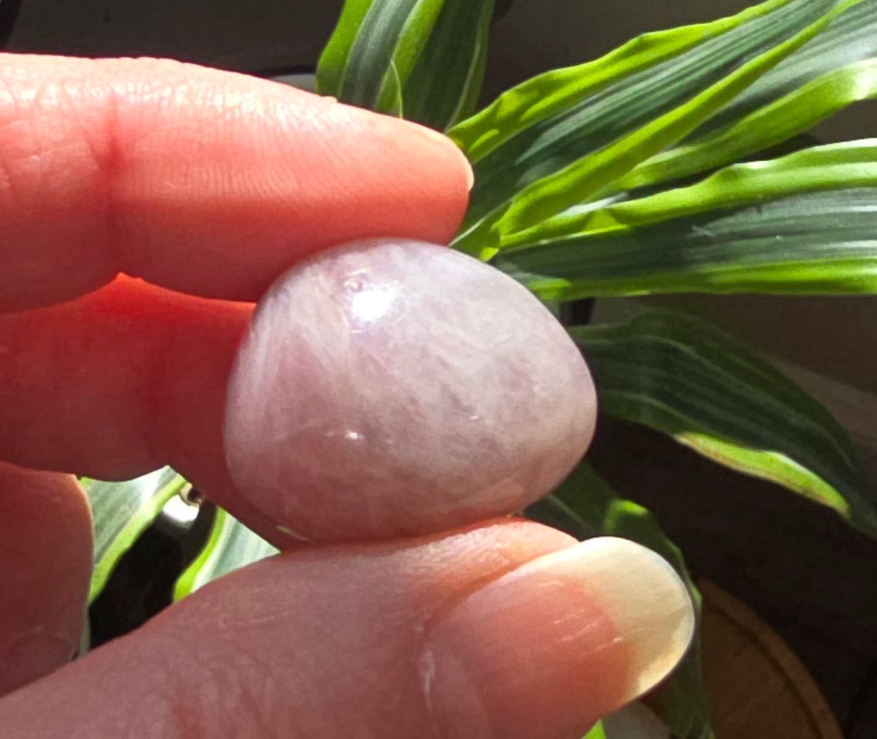 Purple Rose Quartz Tumble Stones – Natural Quartz