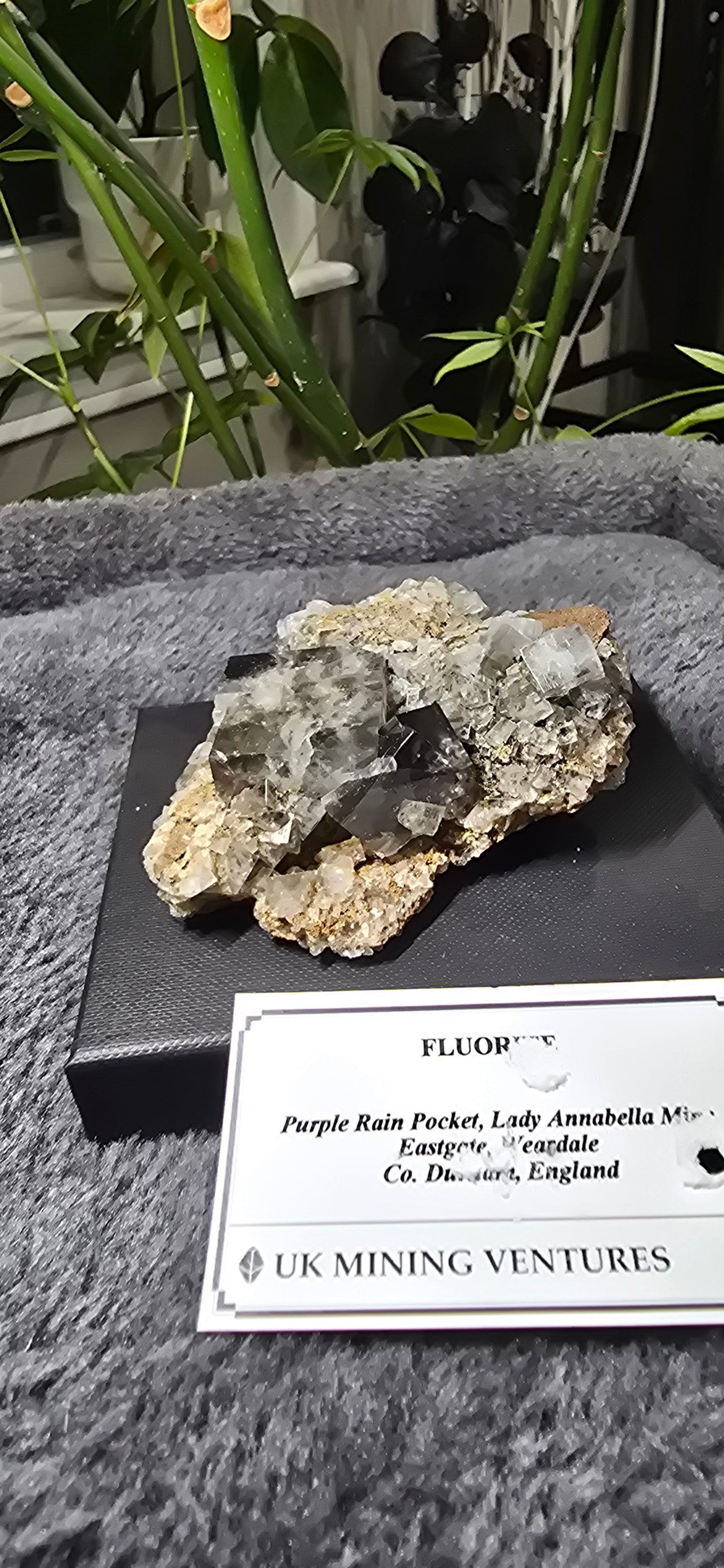 Purple Rain Pocket Fluorite
