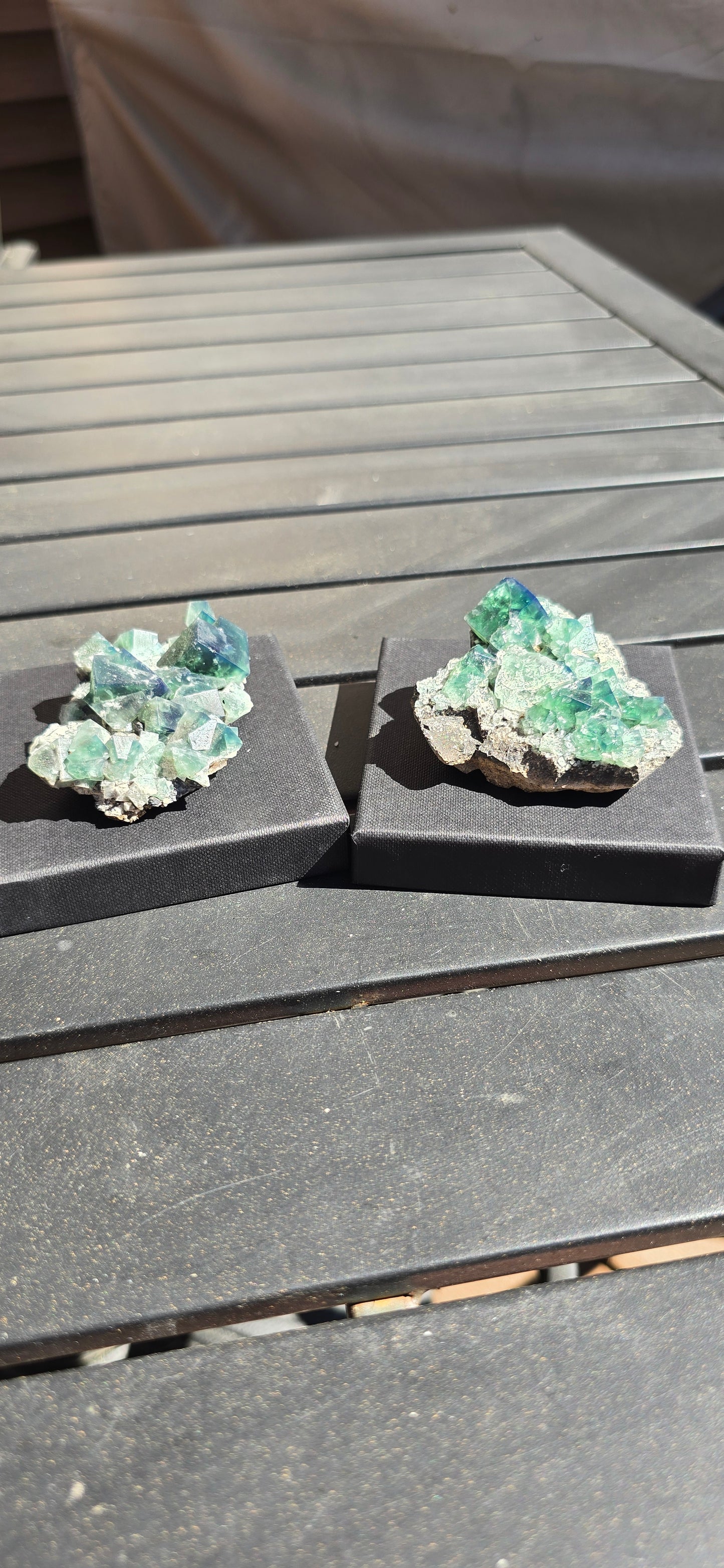 Greedy Hog Pocket Fluorite