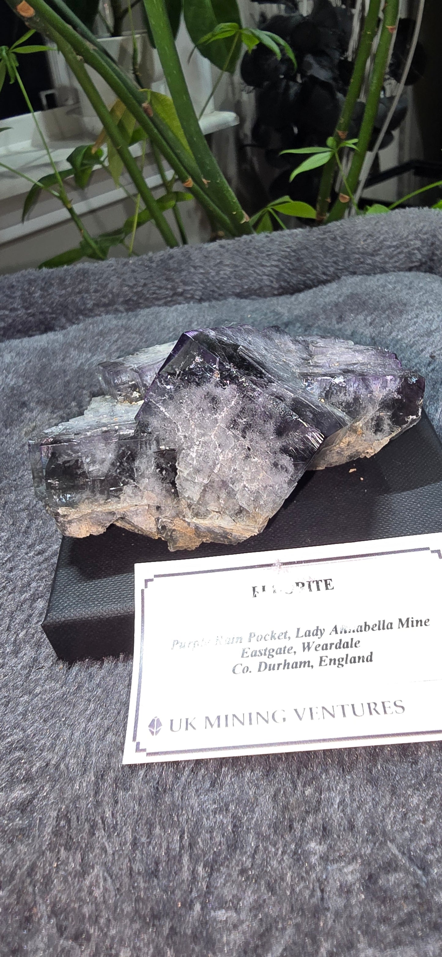 Purple Rain Pocket Fluorite