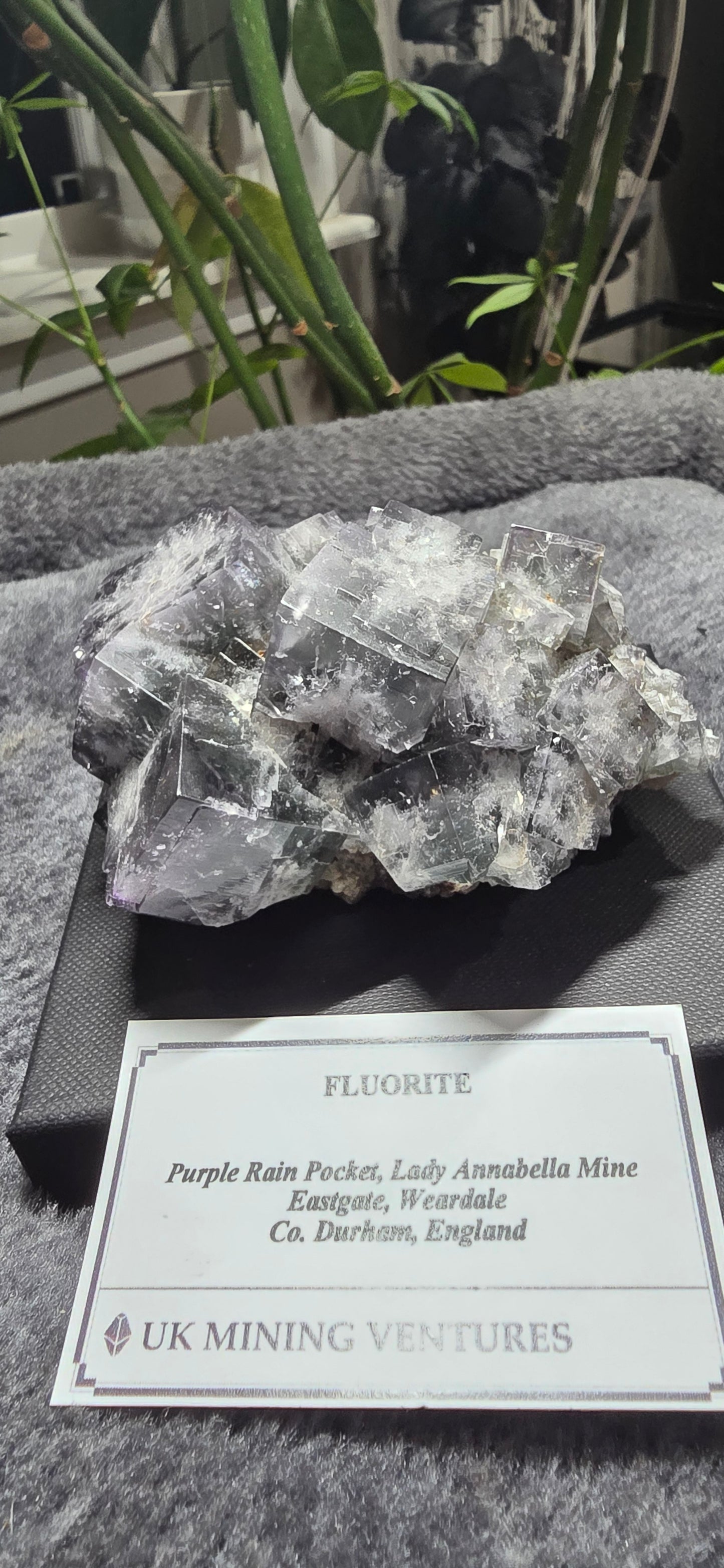 Purple Rain Pocket Fluorite