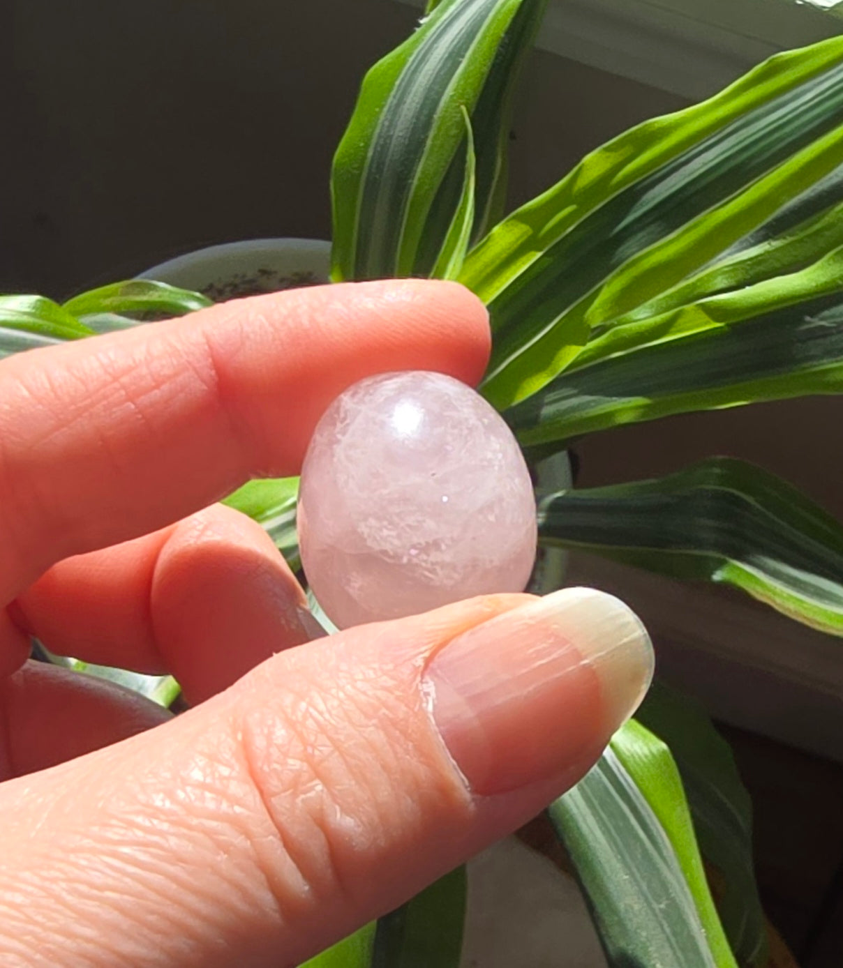 Rose Quartz Polished Tumbles – Natural Quartz