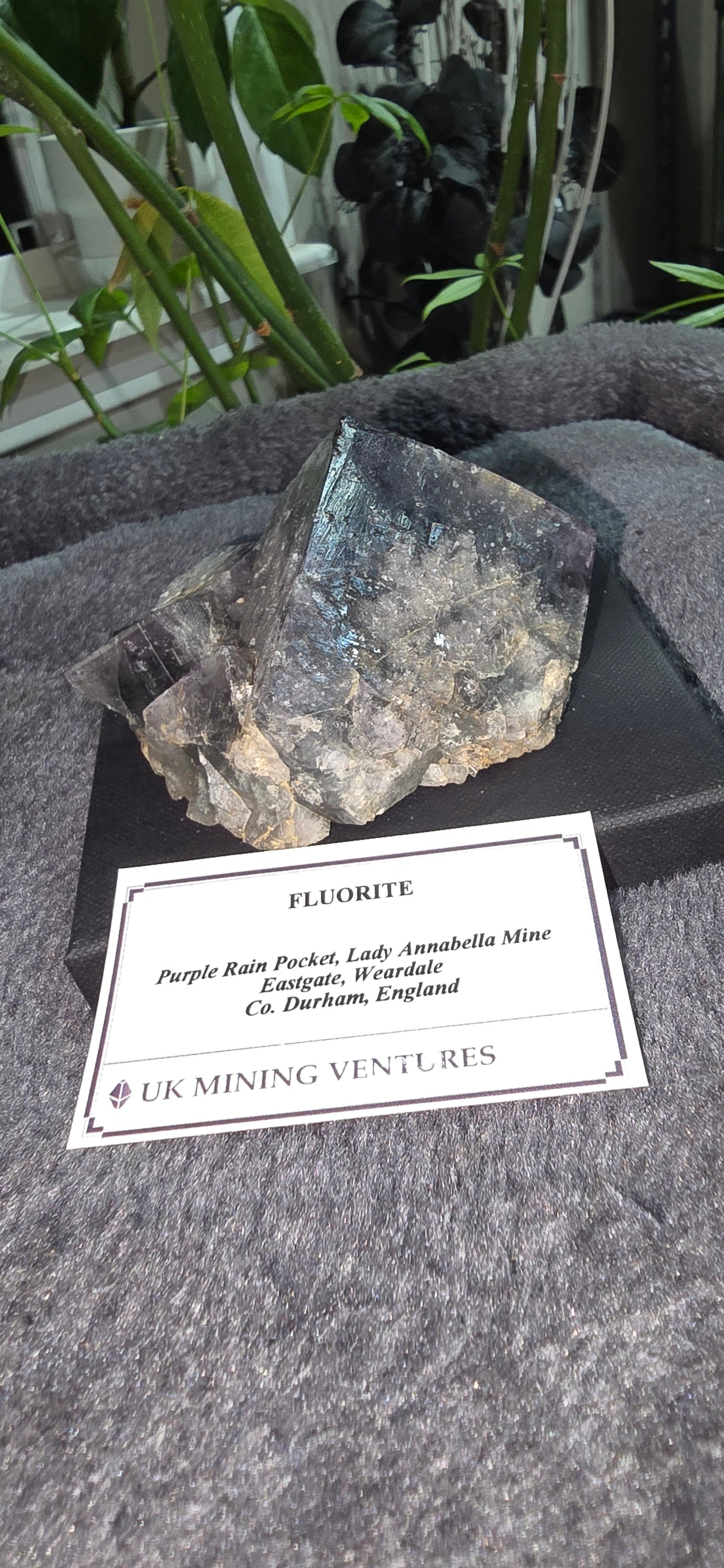 Purple Rain Pocket Fluorite