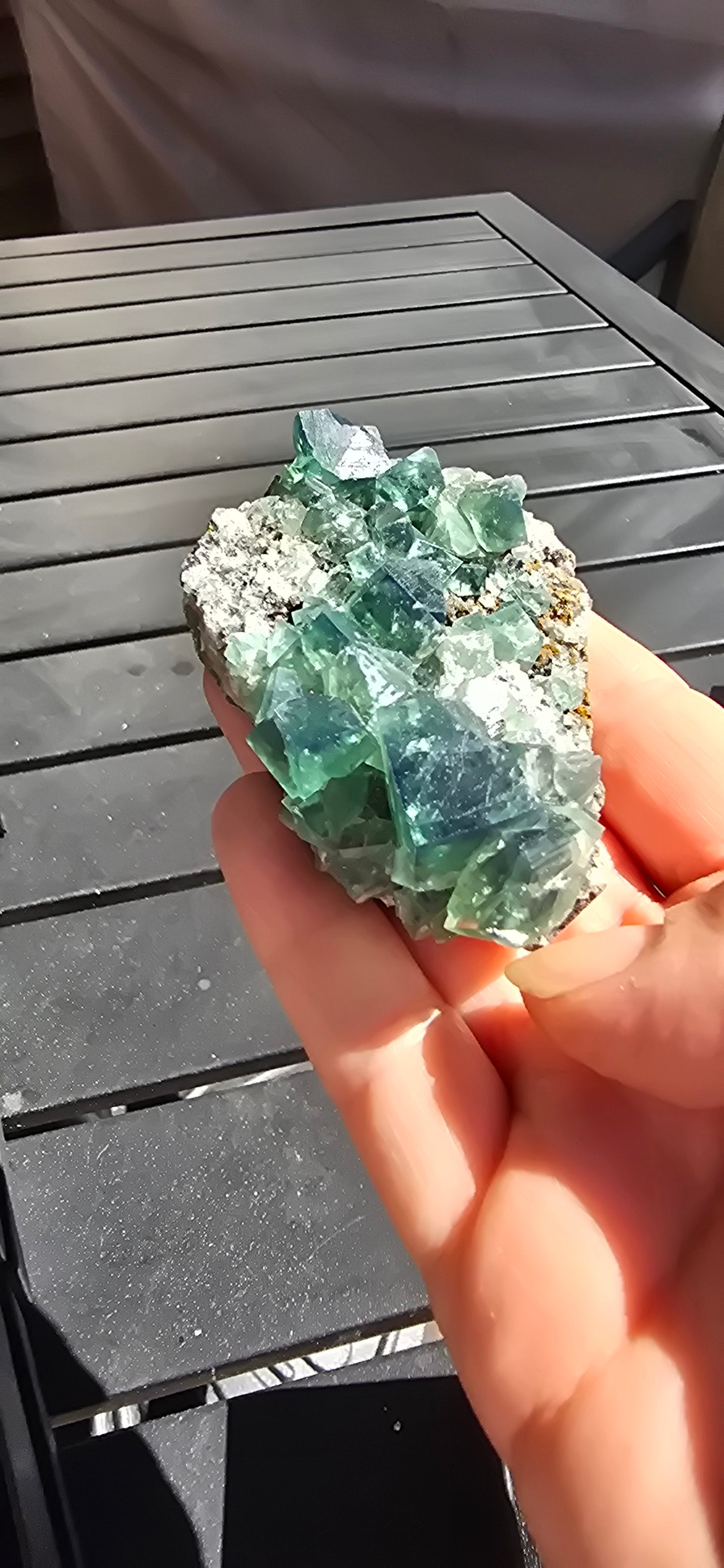 Greedy Hog Pocket Fluorite