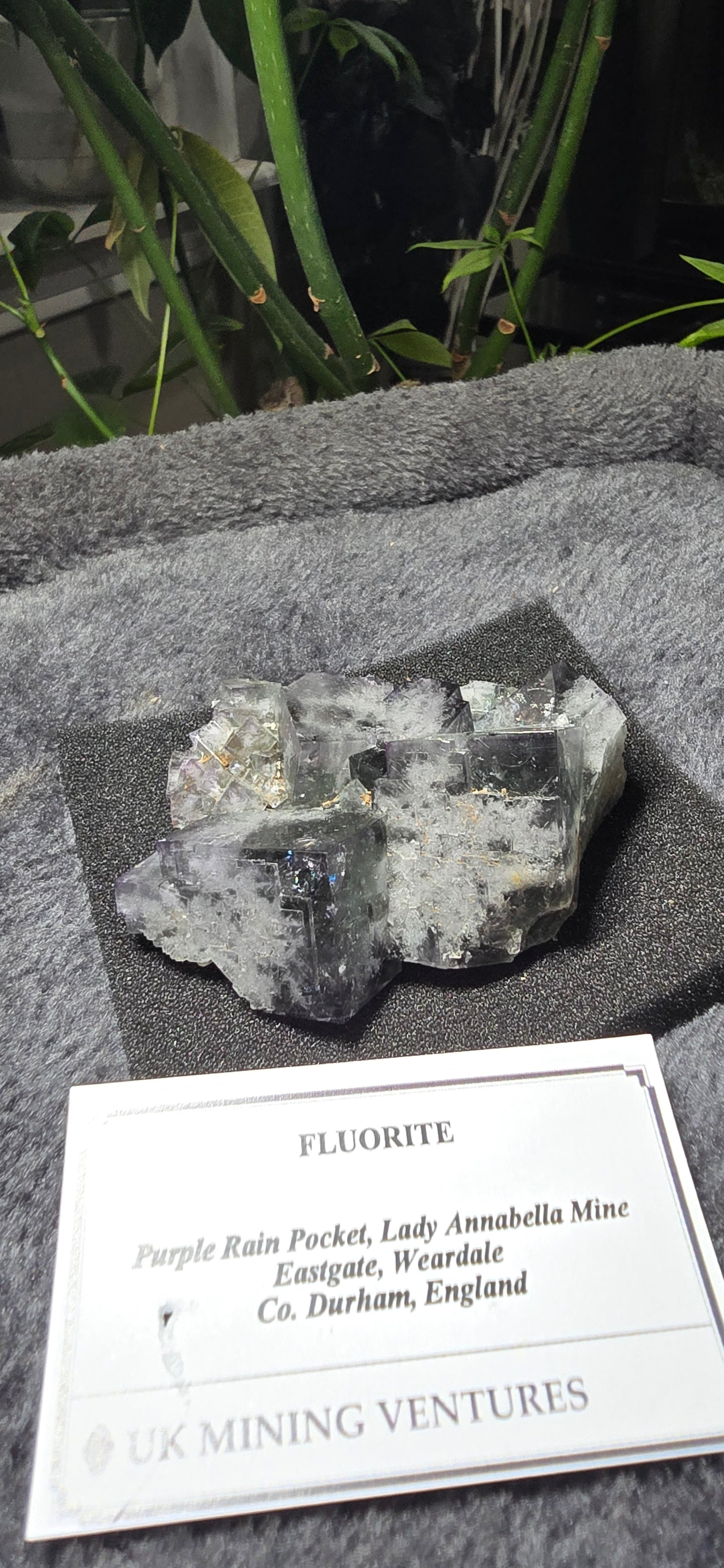 Purple Rain Pocket Fluorite