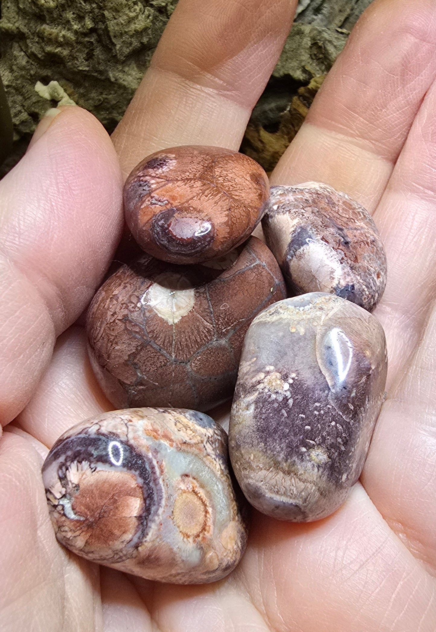 Brecciated Jasper Tumble Jasper tumble stone