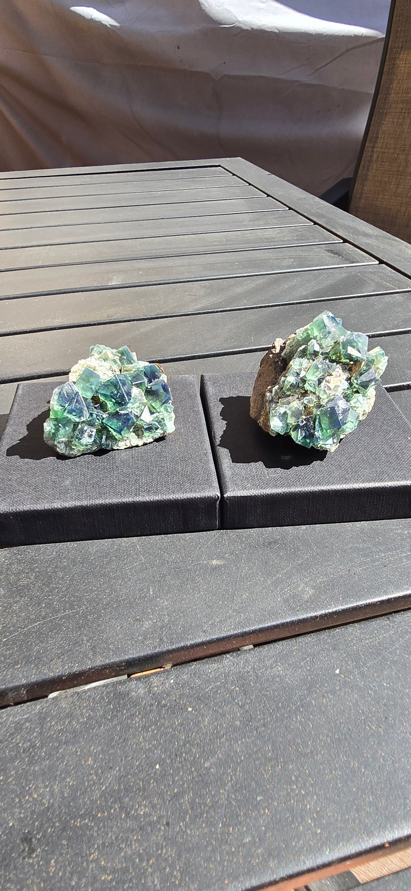 Greedy Hog Pocket Fluorite