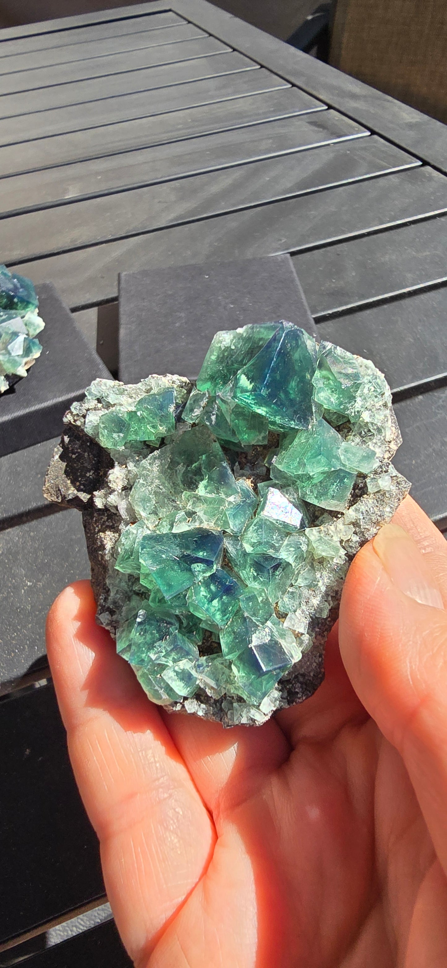 Greedy Hog Pocket Fluorite