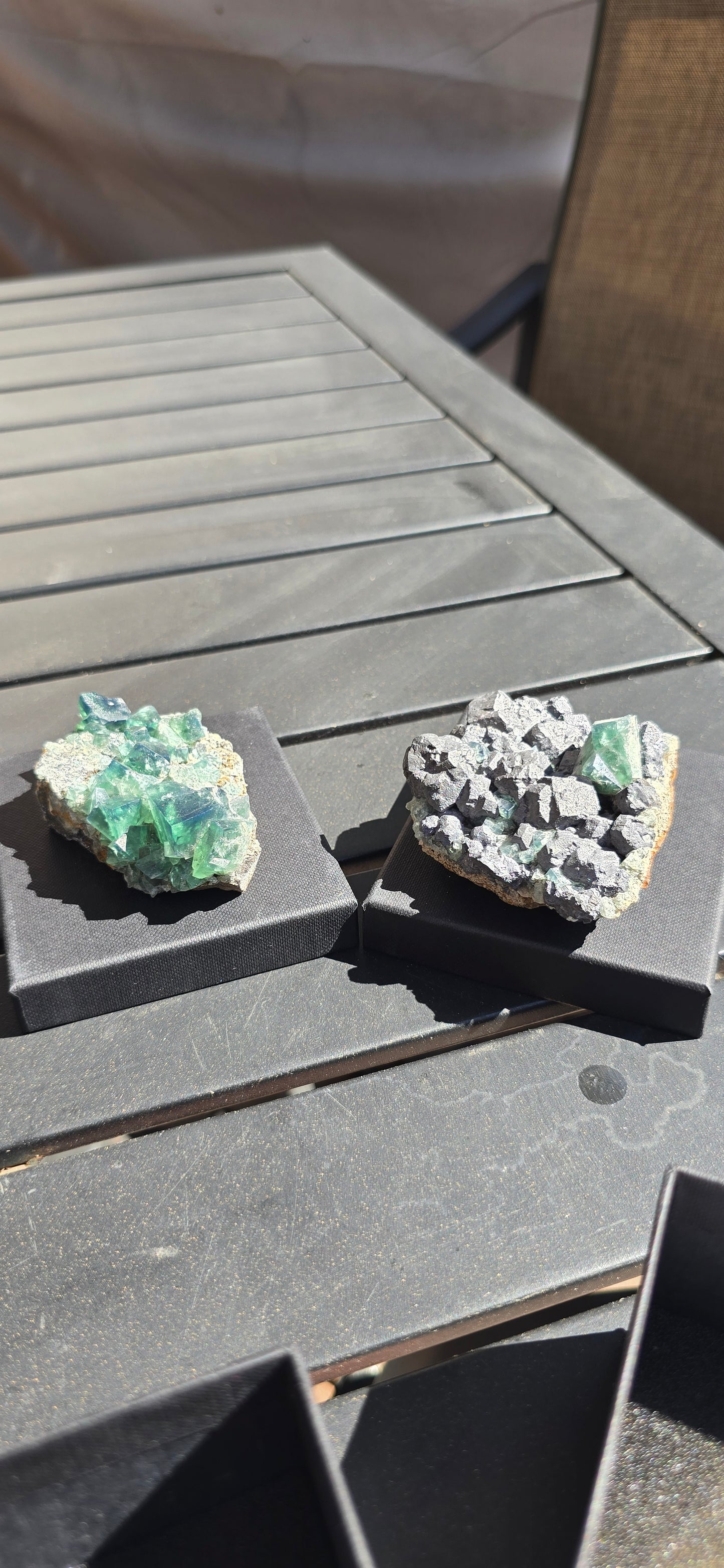 Greedy Hog Pocket Fluorite