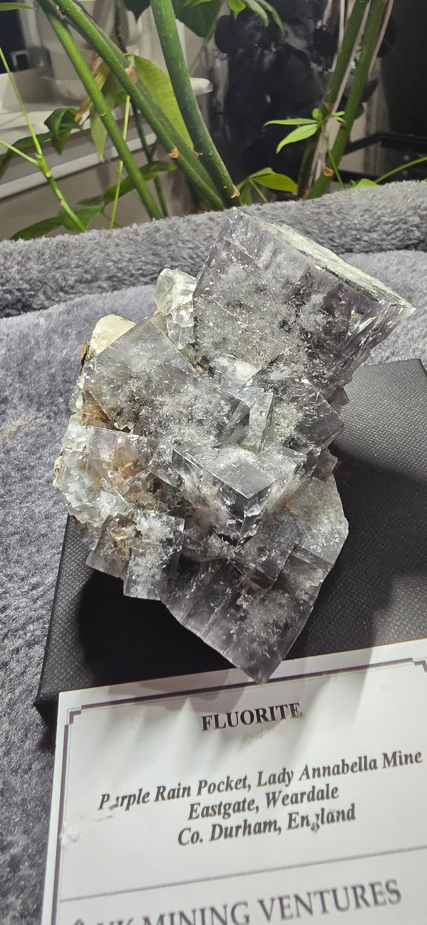 Purple Rain Pocket Fluorite