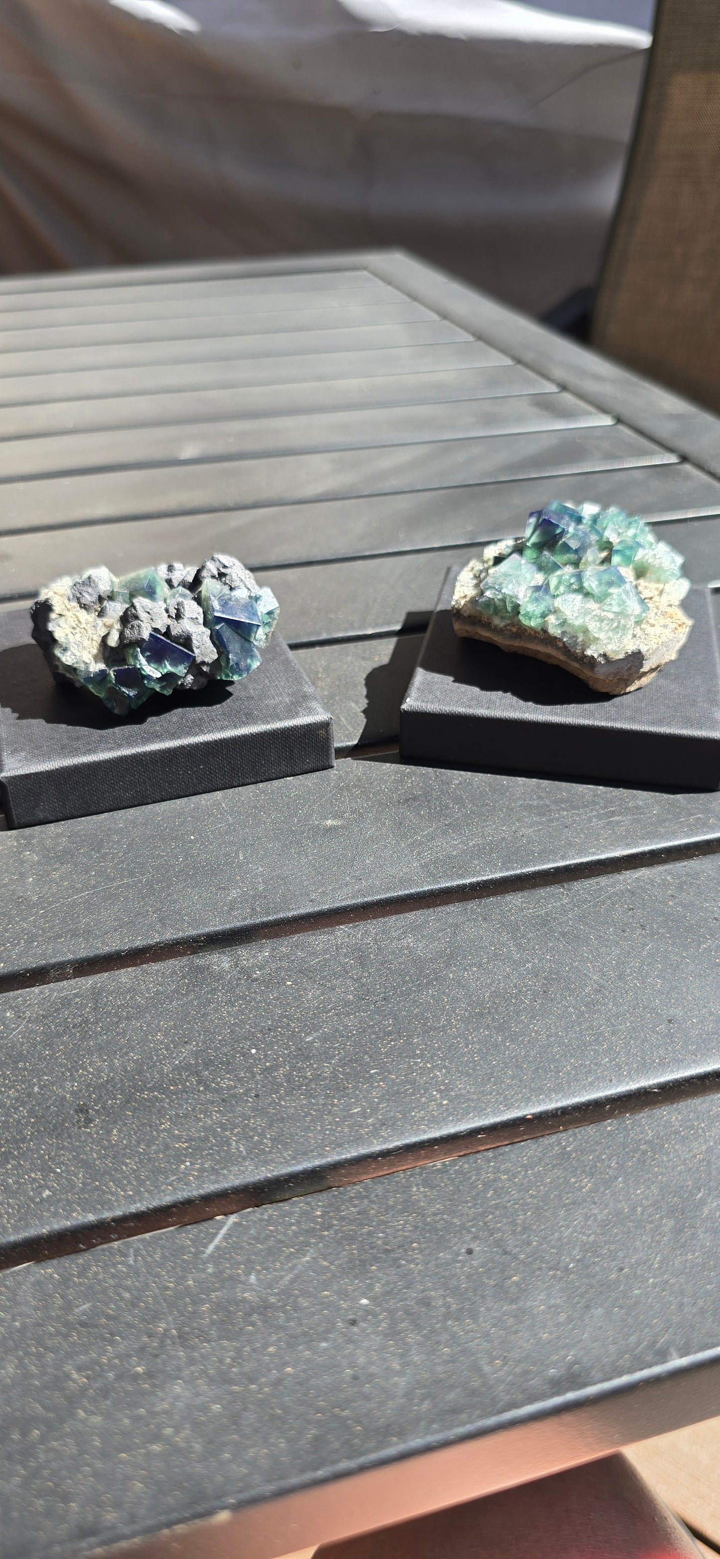 Greedy Hog Pocket Fluorite