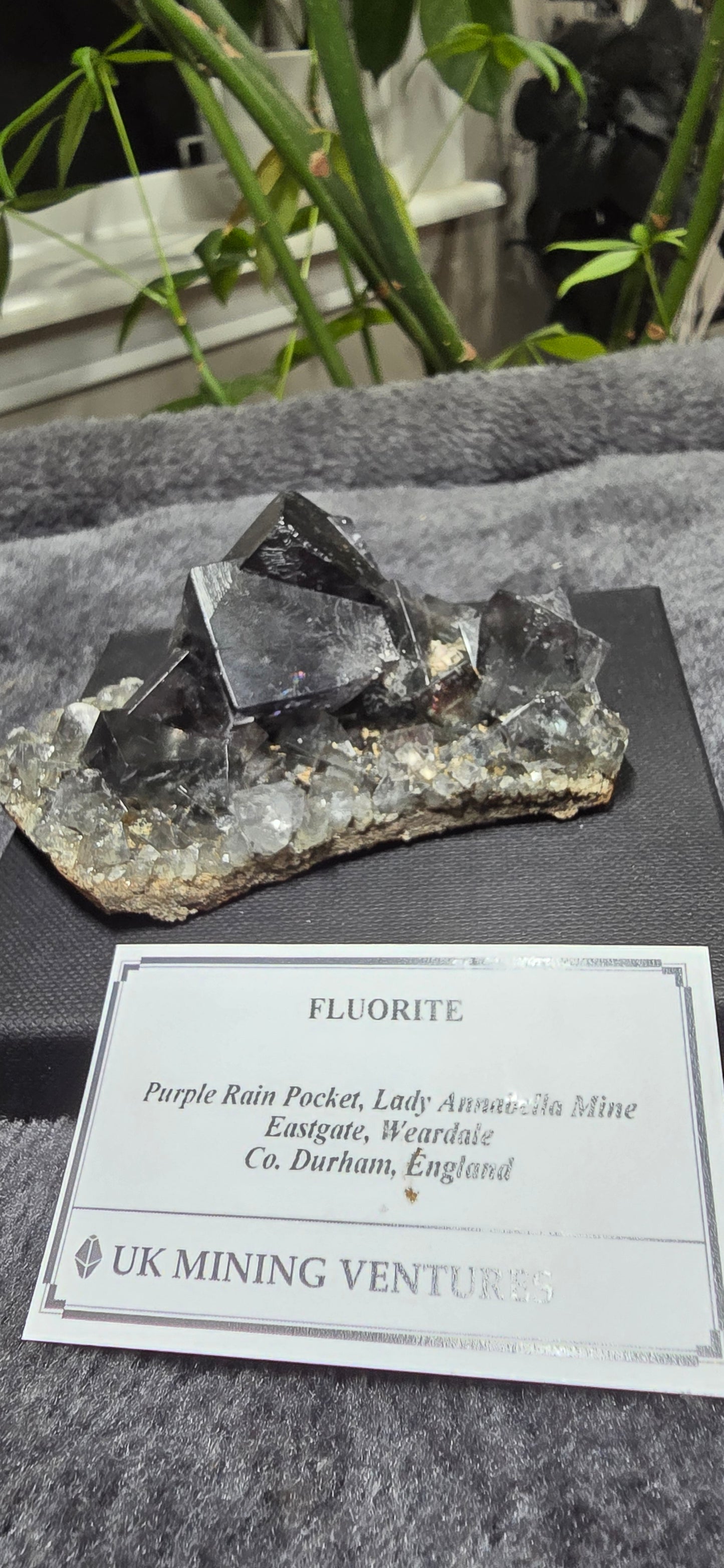 Purple Rain Pocket Fluorite