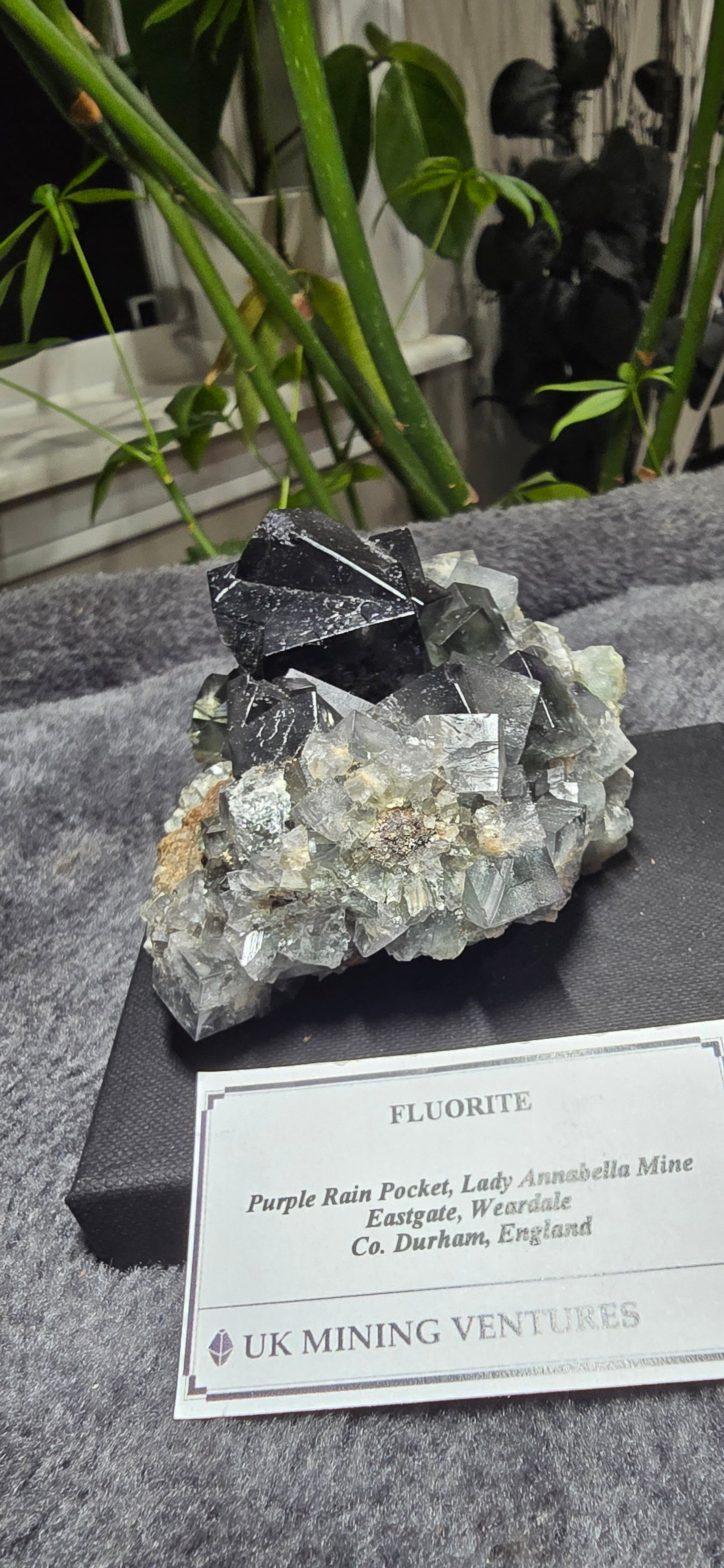 Purple Rain Pocket Fluorite