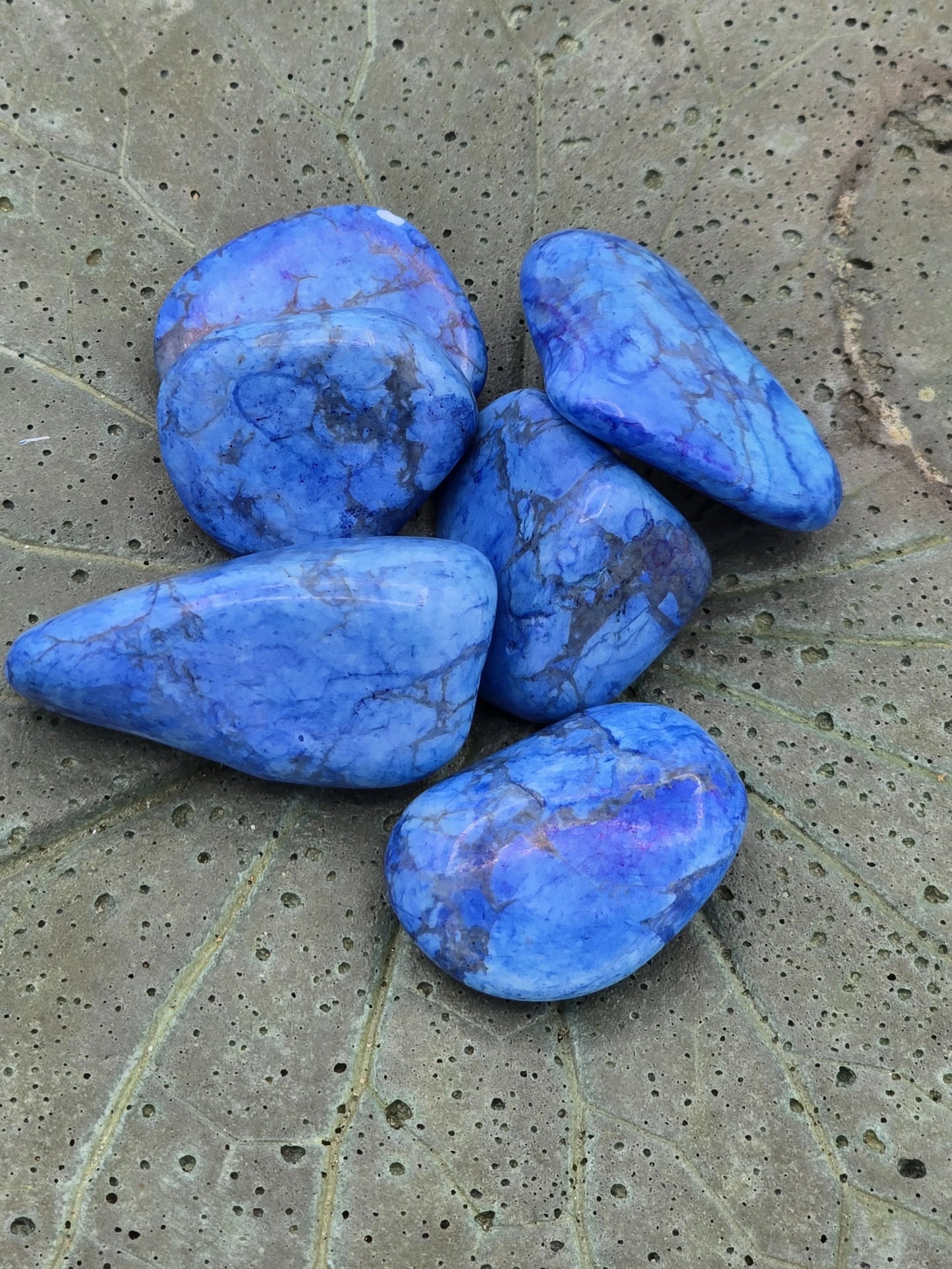 Blue (Dyed) Howlite Tumbles