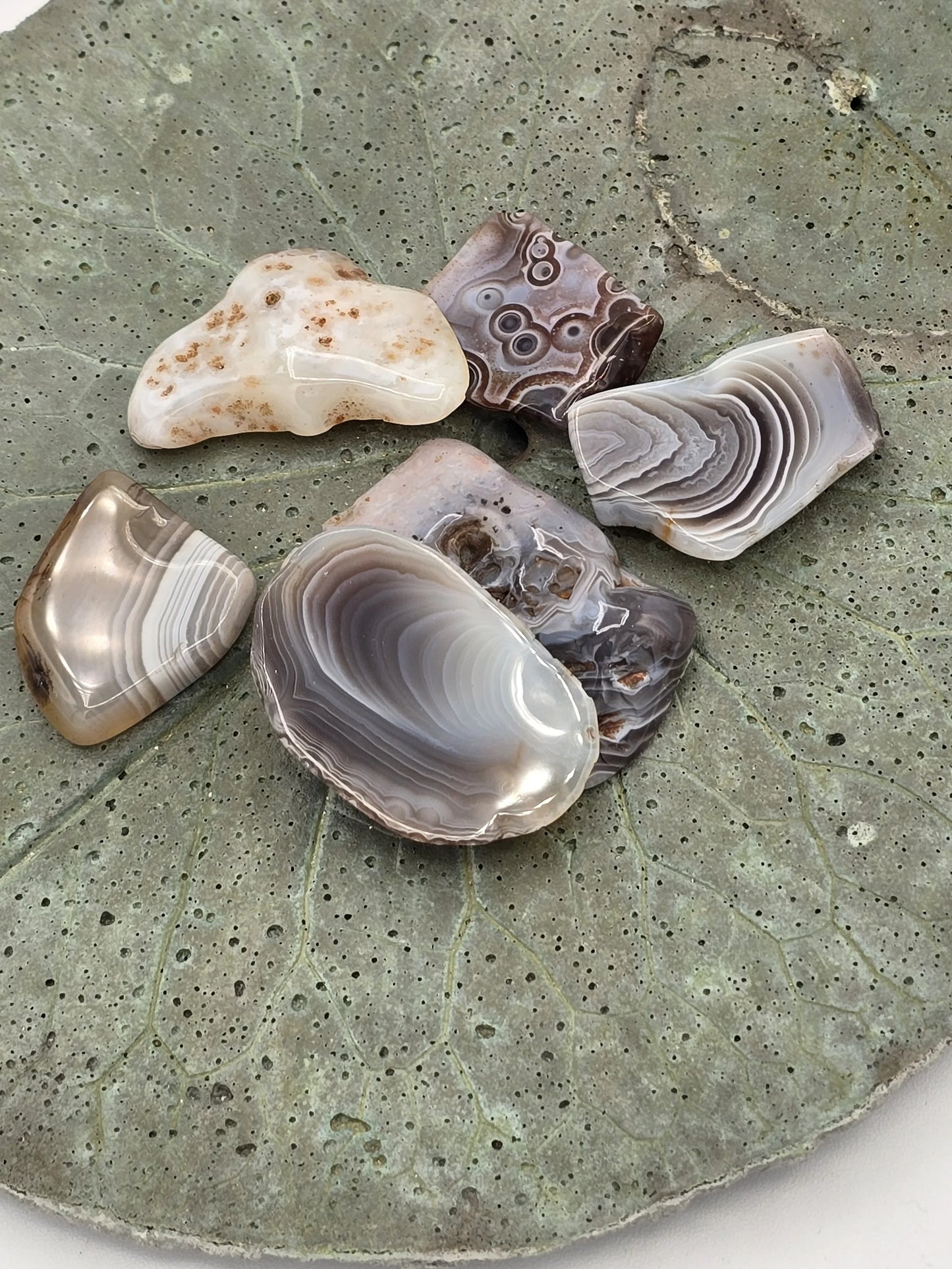 Agate Tumbled Slices