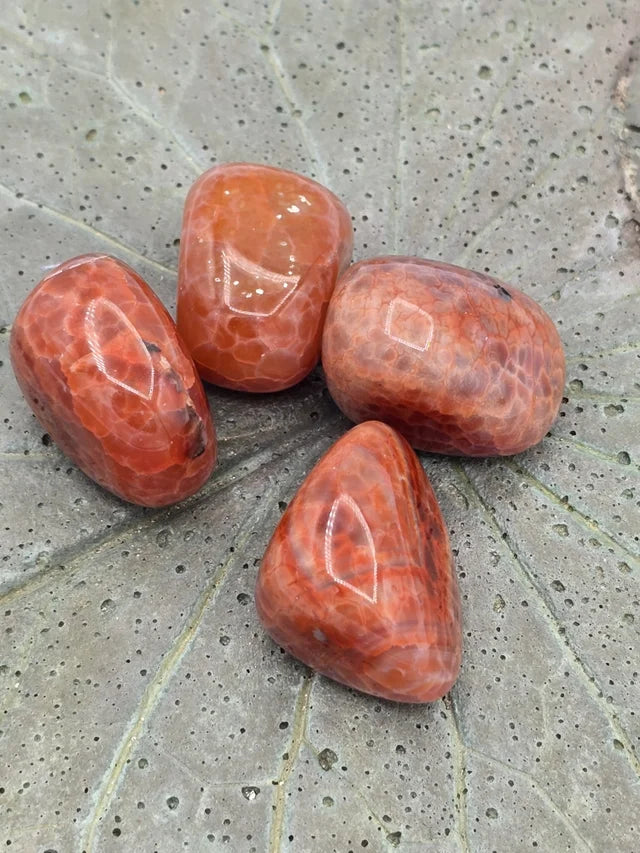 Snakeskin Agate (Heat Treated Carnelian) Tumbles
