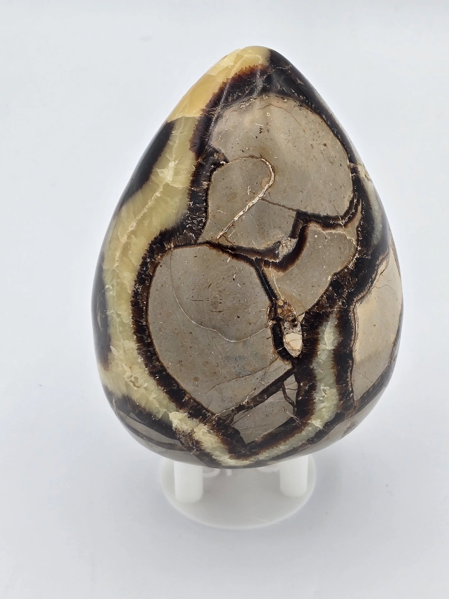 Septarian Egg