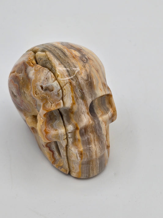 Crazy Lace Agate Skull Carvings – Polished Natural Agate