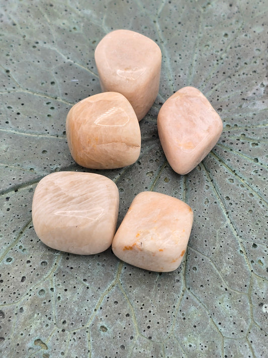 Peach Moonstone Tumbles