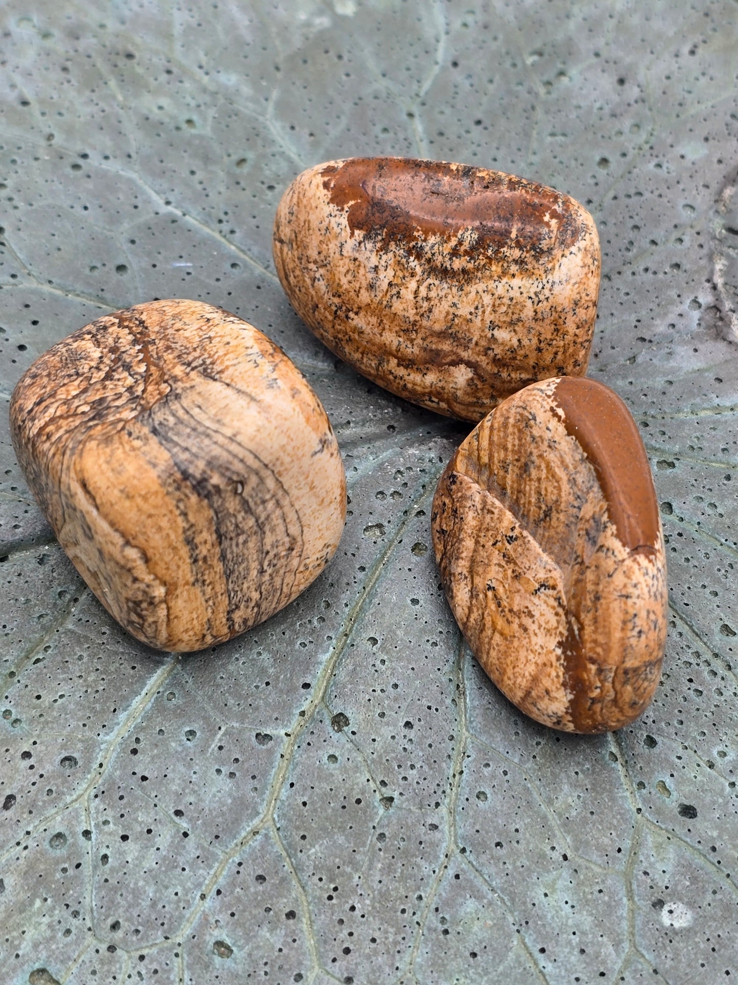 Picture Jasper Tumbles