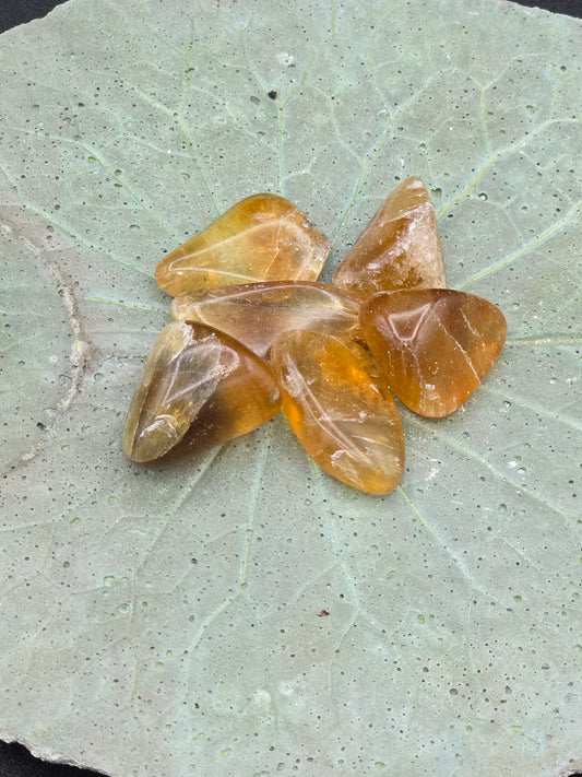 Honey Fluorite Tumbles