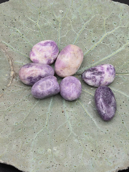 Lepidolite Tumbles (Small)