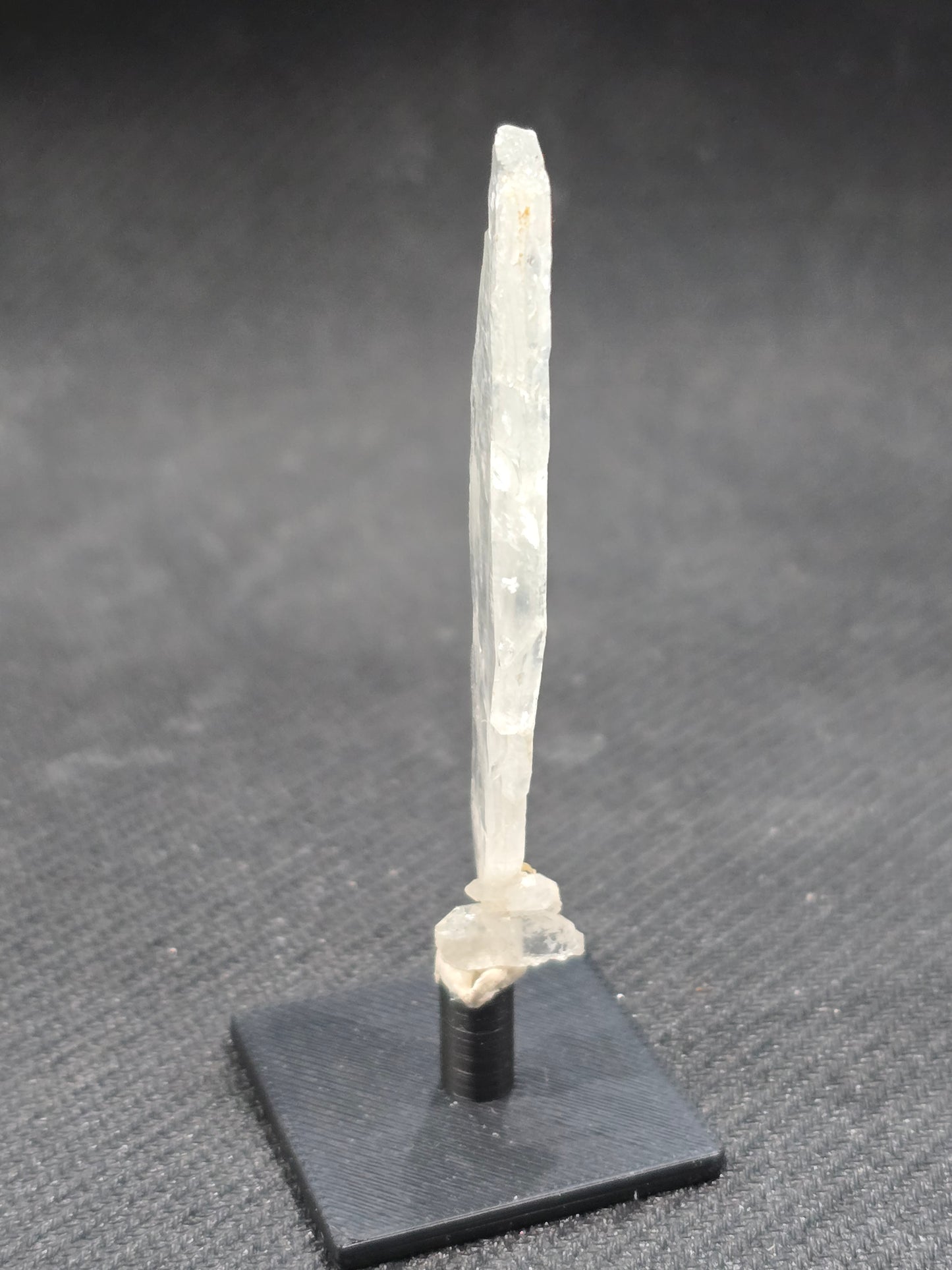 Faden Quartz in Perky box