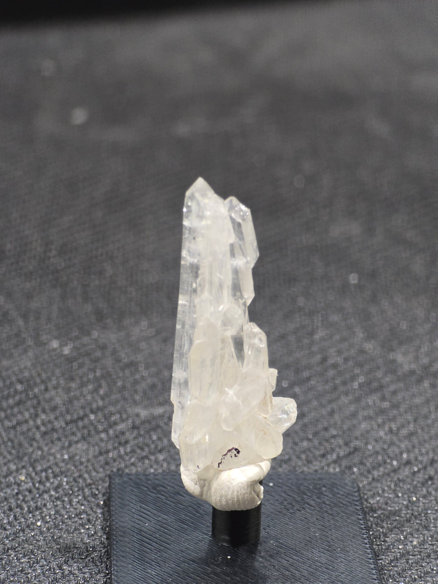 Faden Quartz in Perky box