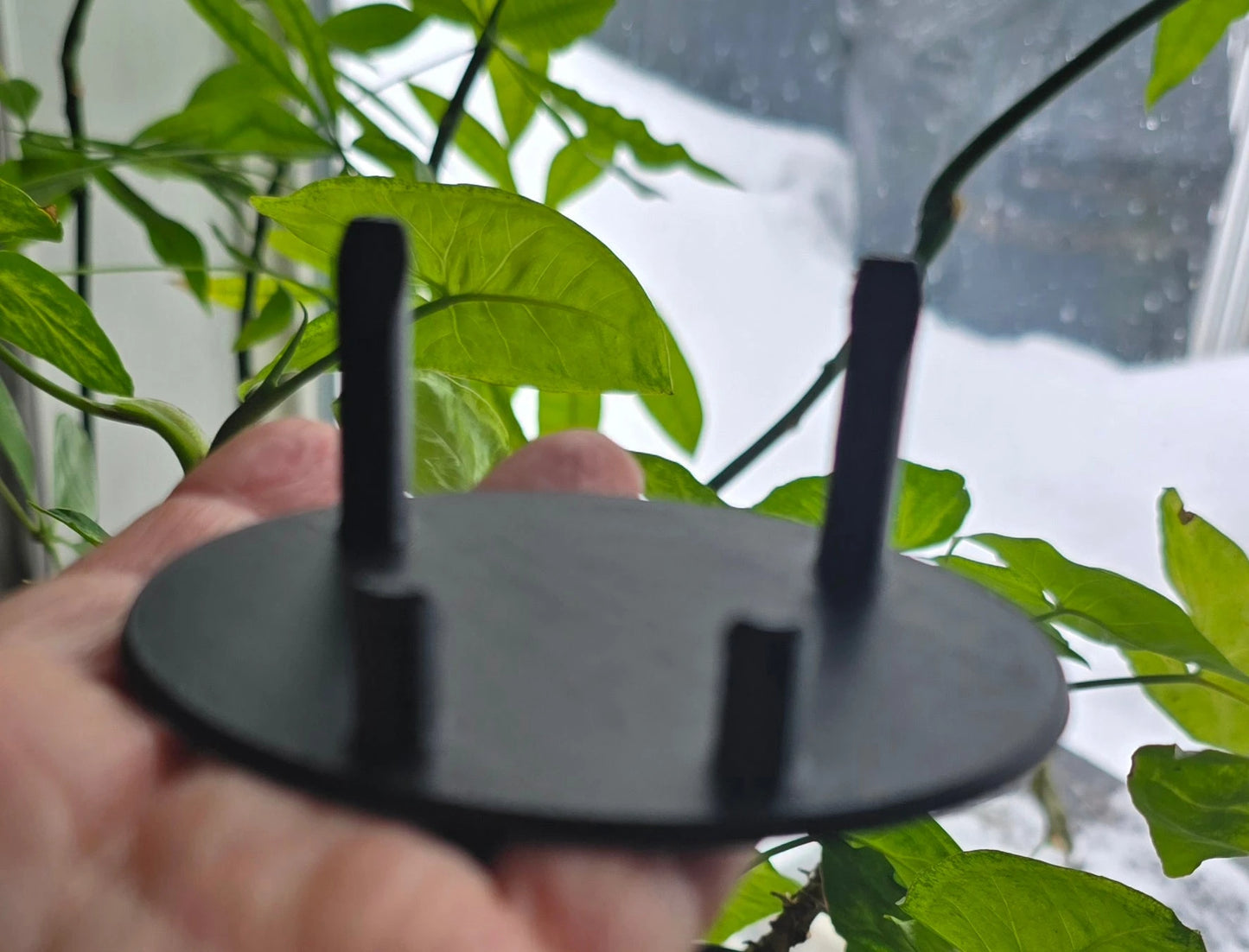 Black 4‑Prong Specimen Stand - 3D Printed Display Base