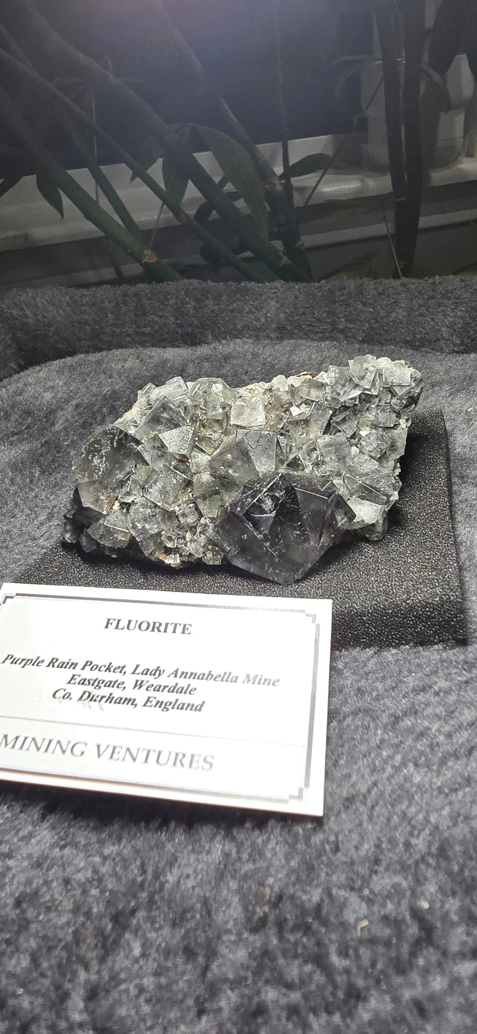 Fluorite specimen